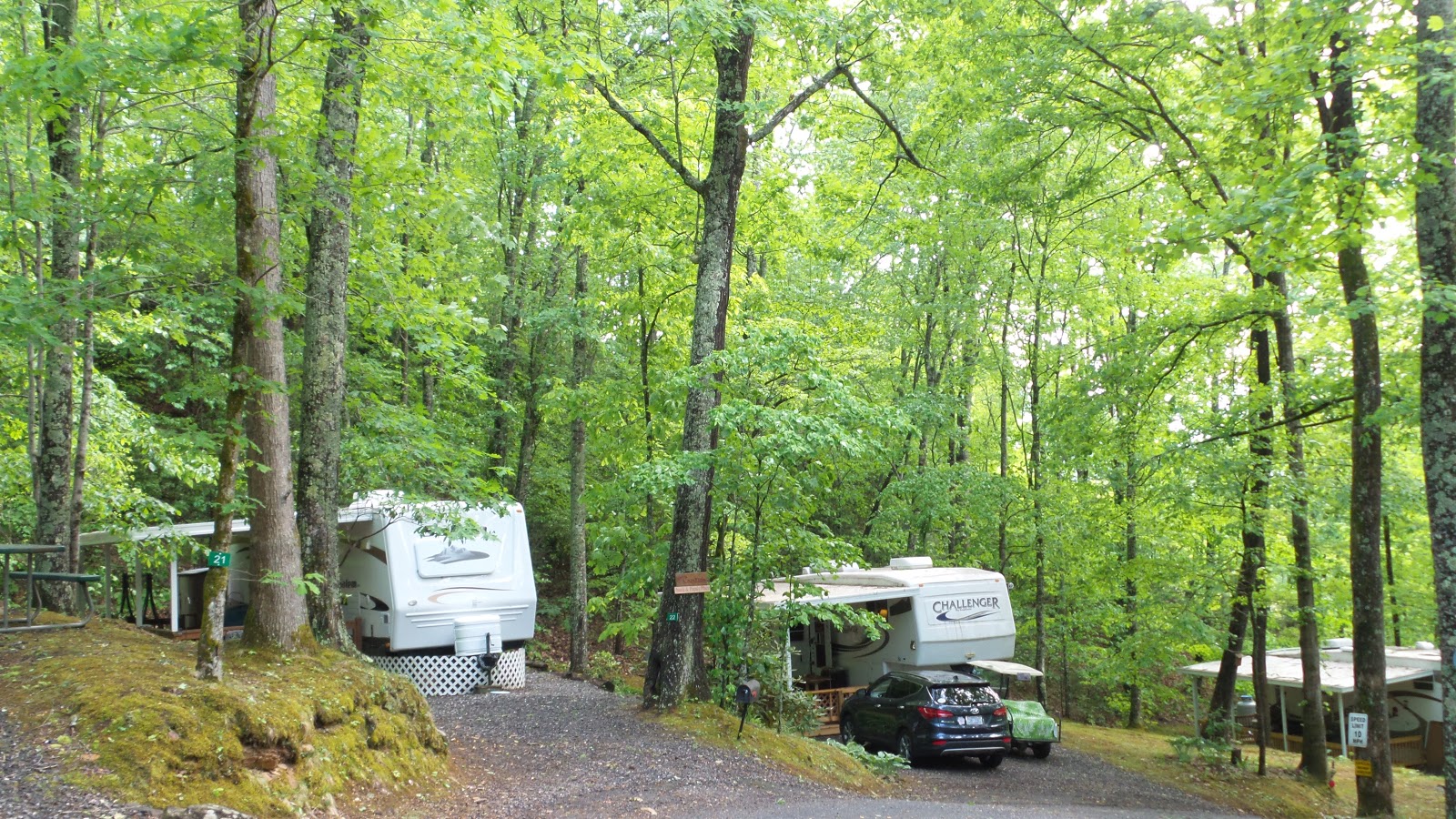 Holly Cove RV Resort