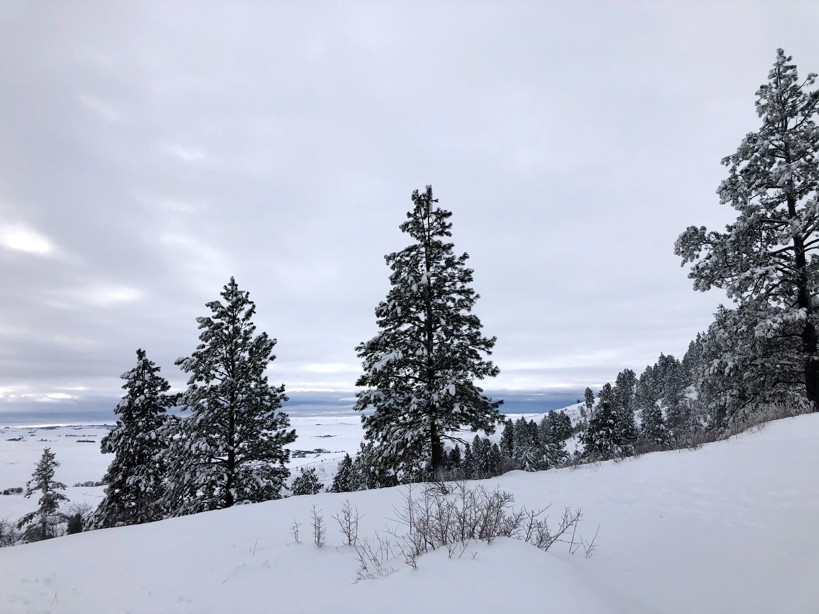 Kamiak Butte County Park