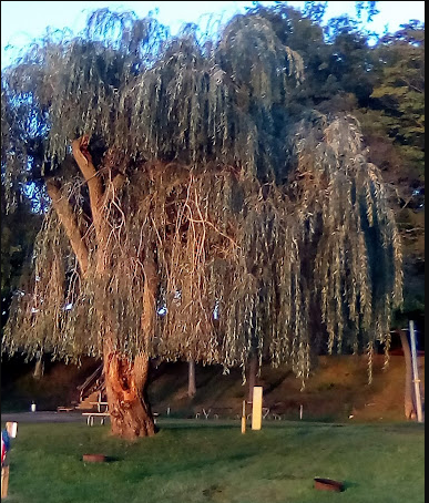 Miller Lake Campground