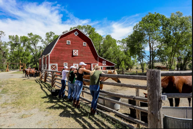 Bar Fifty Guest Ranch