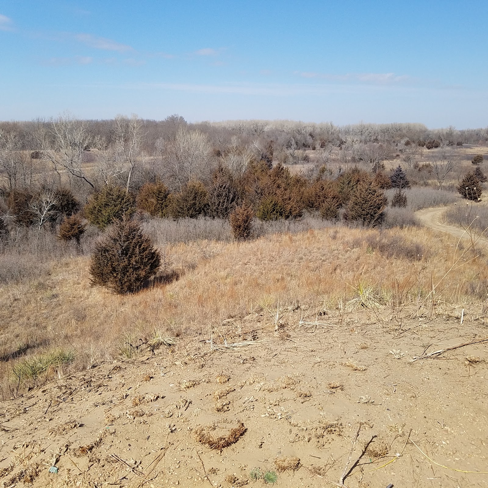 Sand Hills State Park Campground
