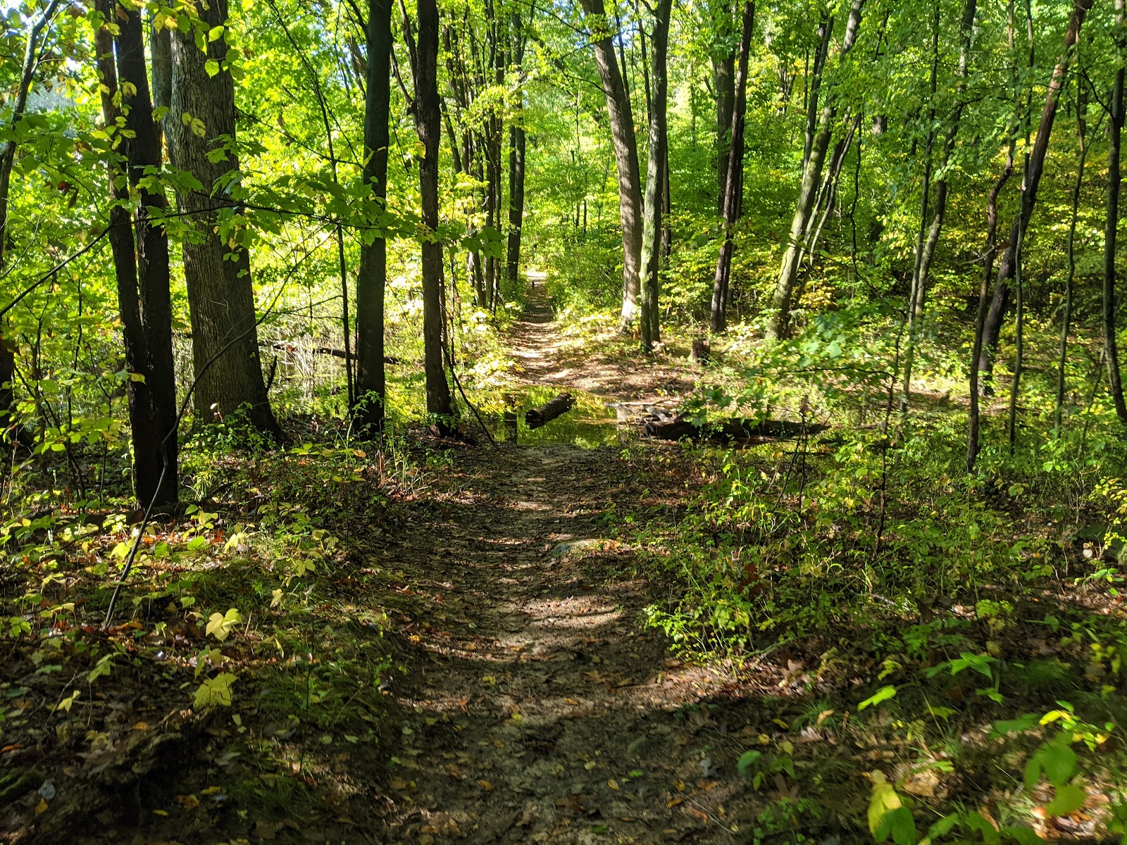Waterloo State Recreation Area