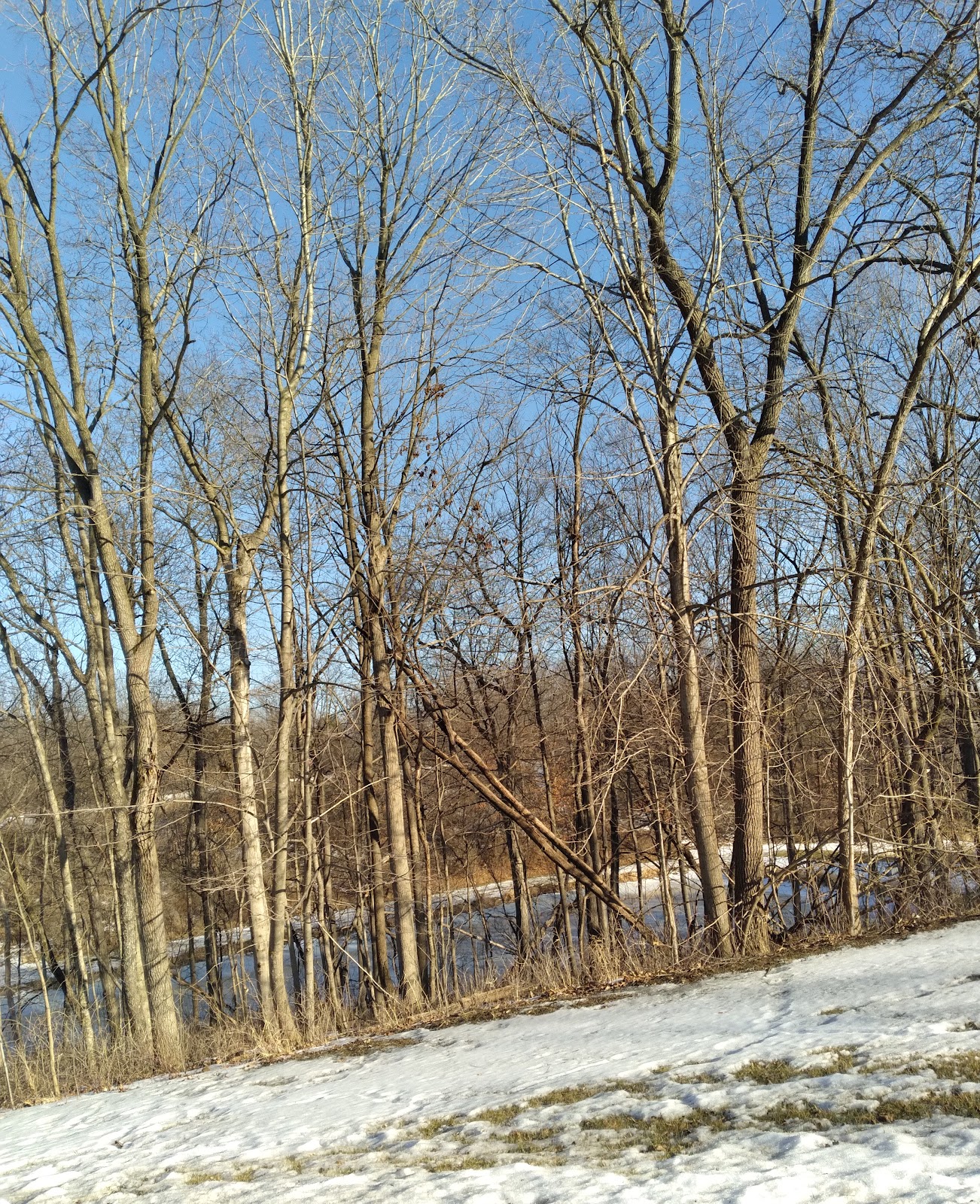 Family - Lake Le-Aqua-Na SRA