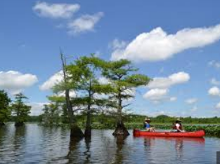 Reelfoot Lake