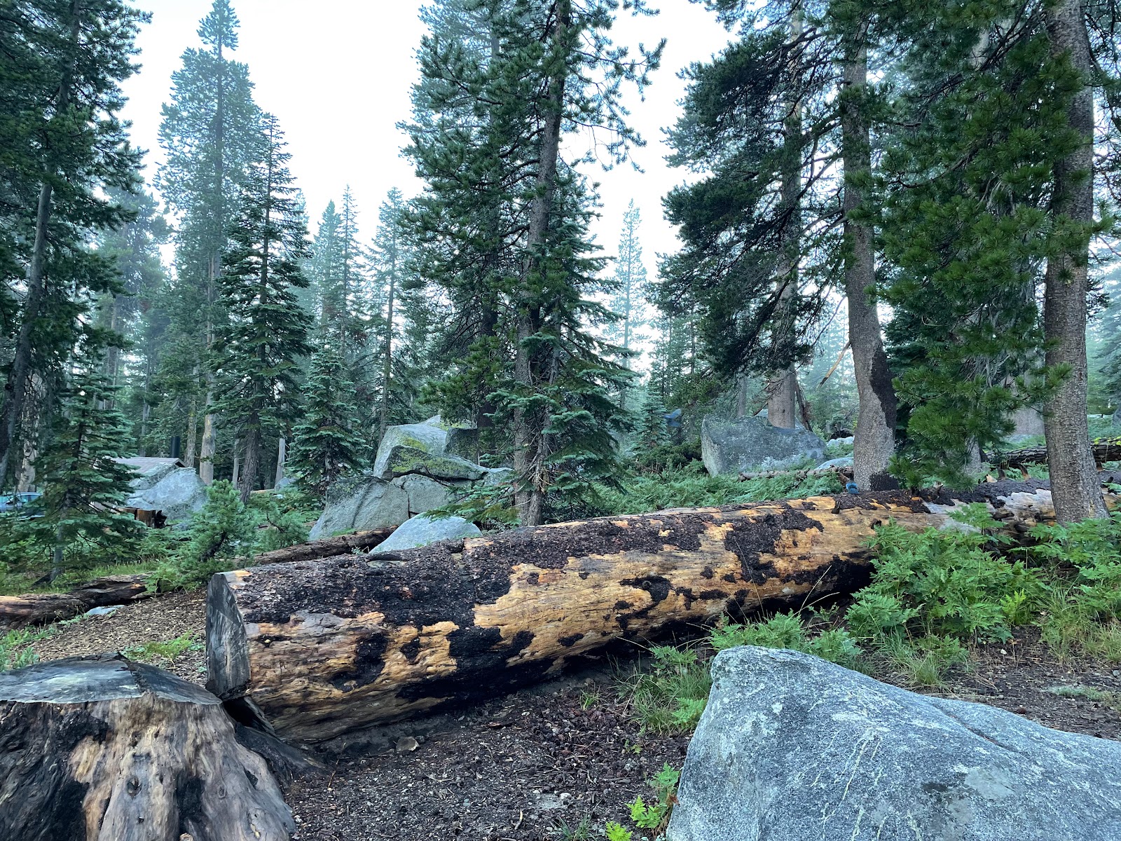 Wrights Lake Campground