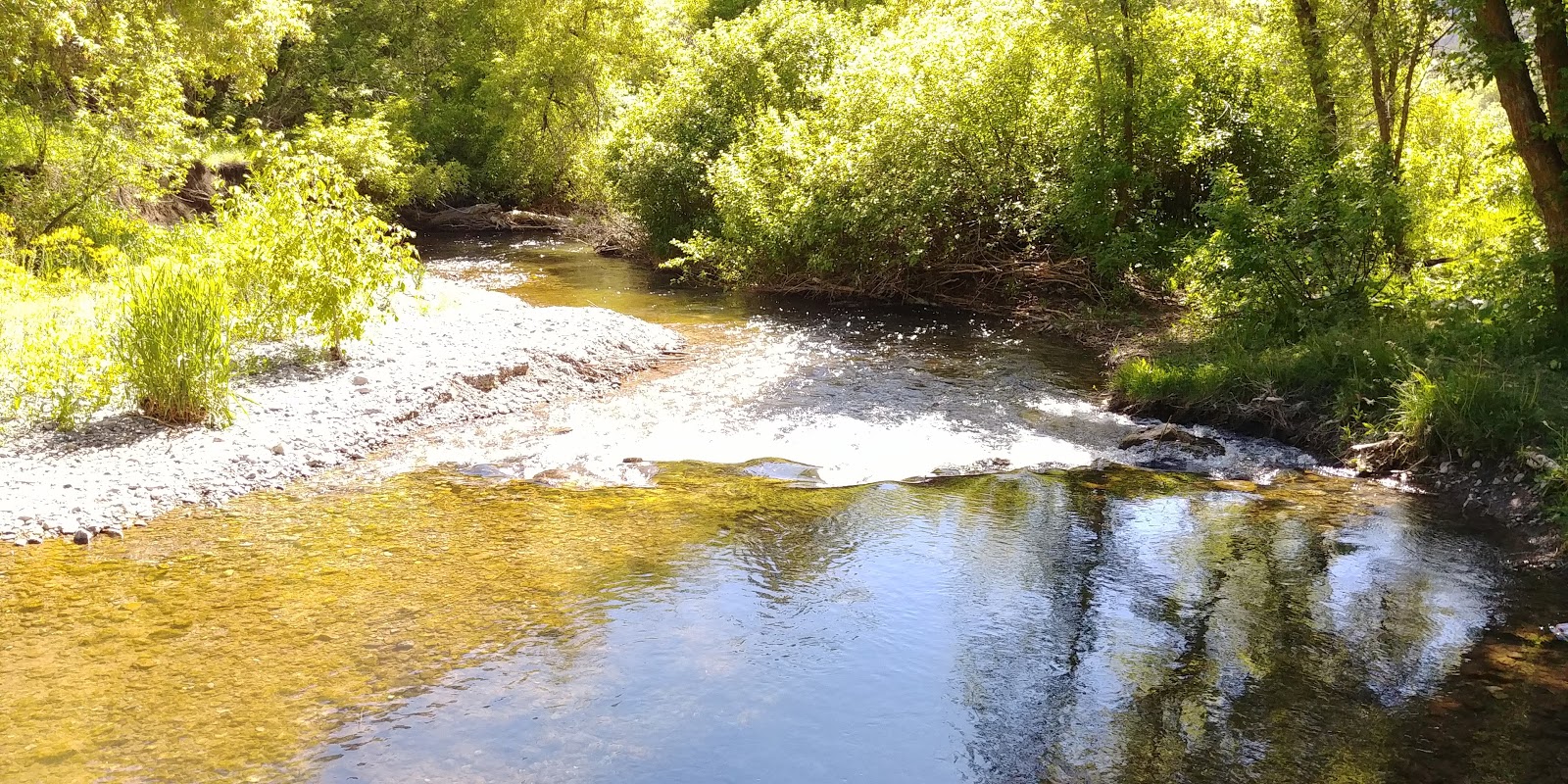 Friendship Campground
