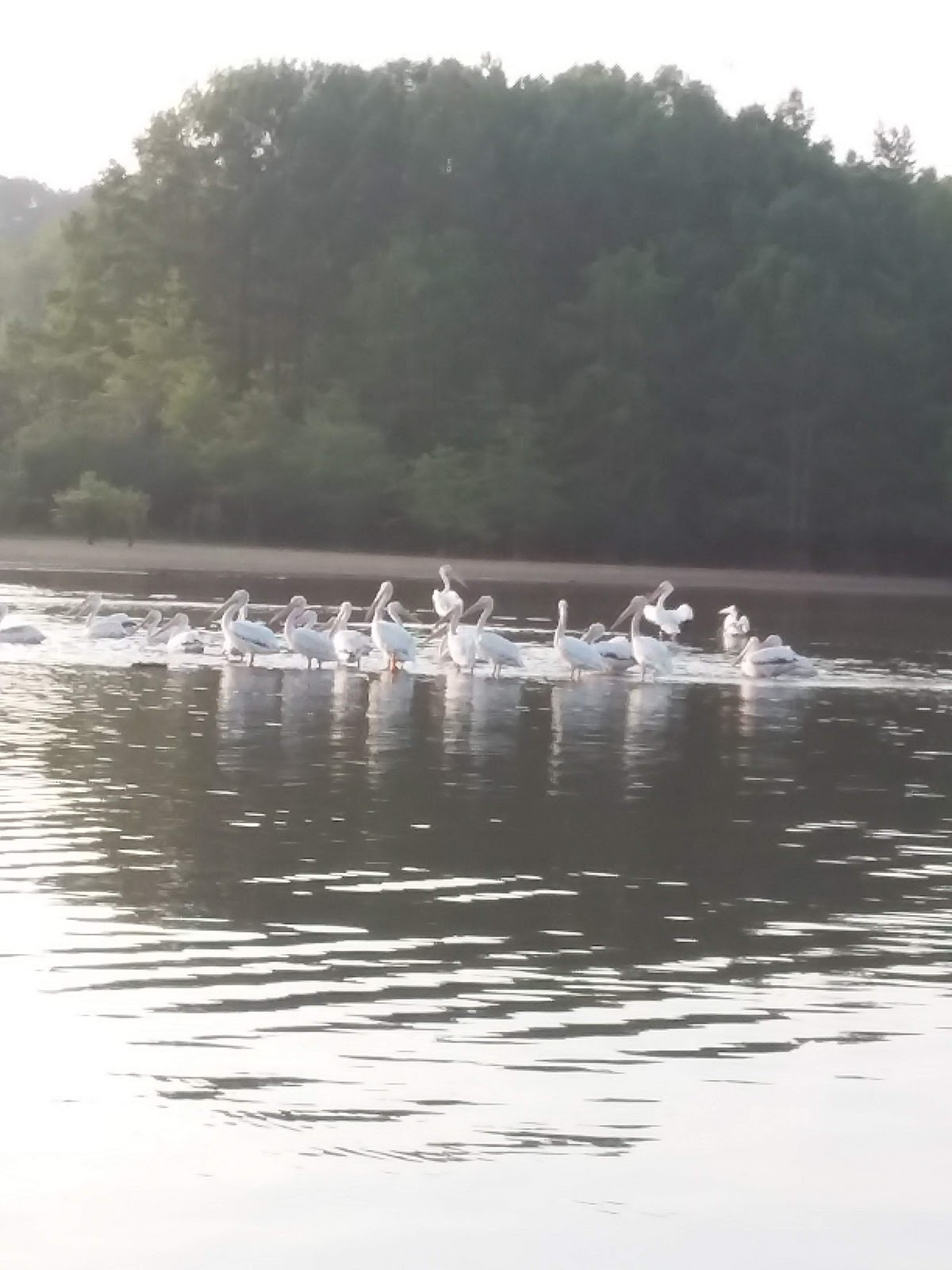 John Kyle State Park