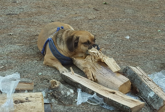 Vacationland Campground