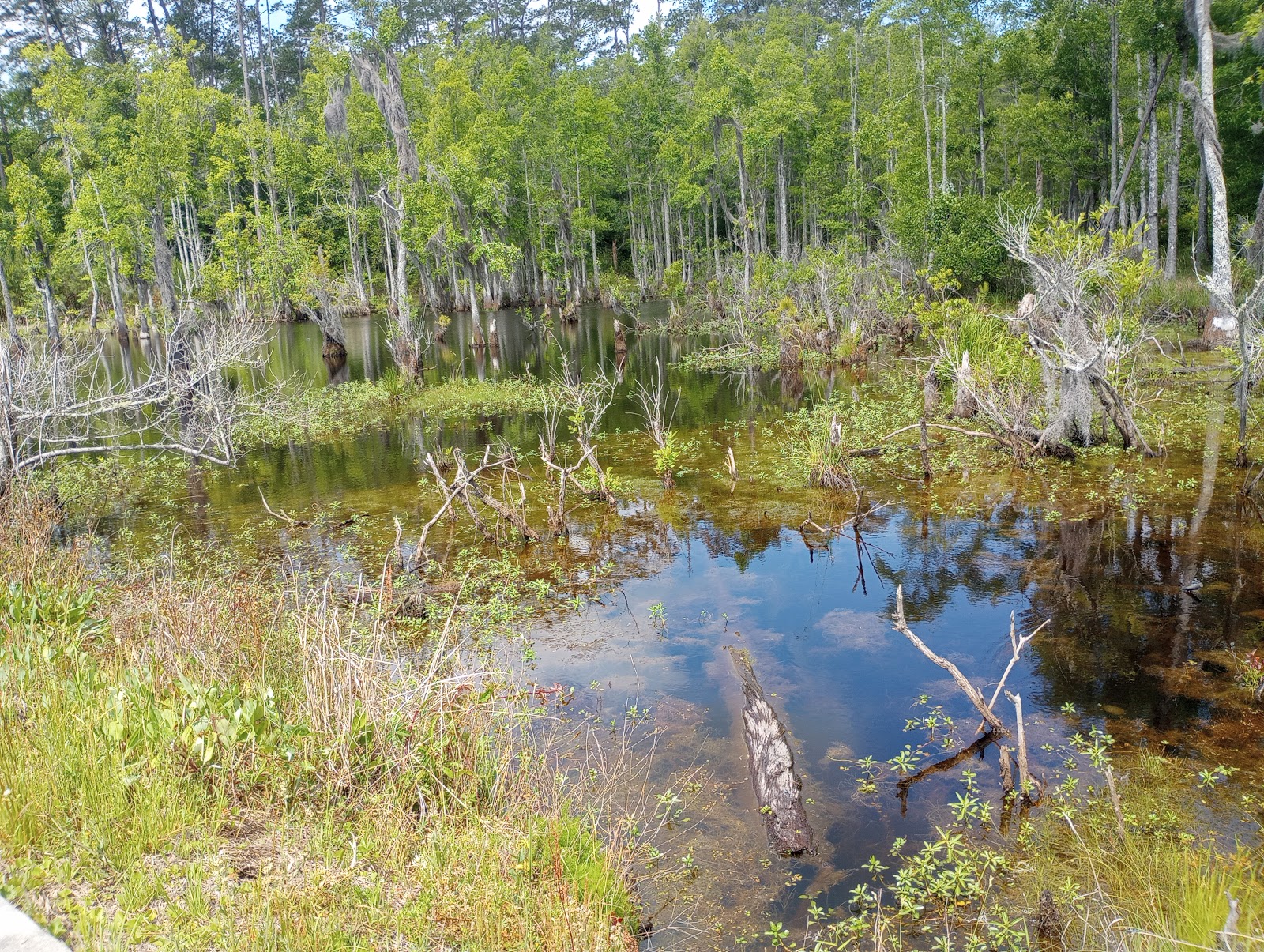 Holbrook Pond Recreation And Campground