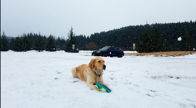 Kodiak National Wildlife Refuge Cabins