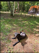 Button Box Lake Campground