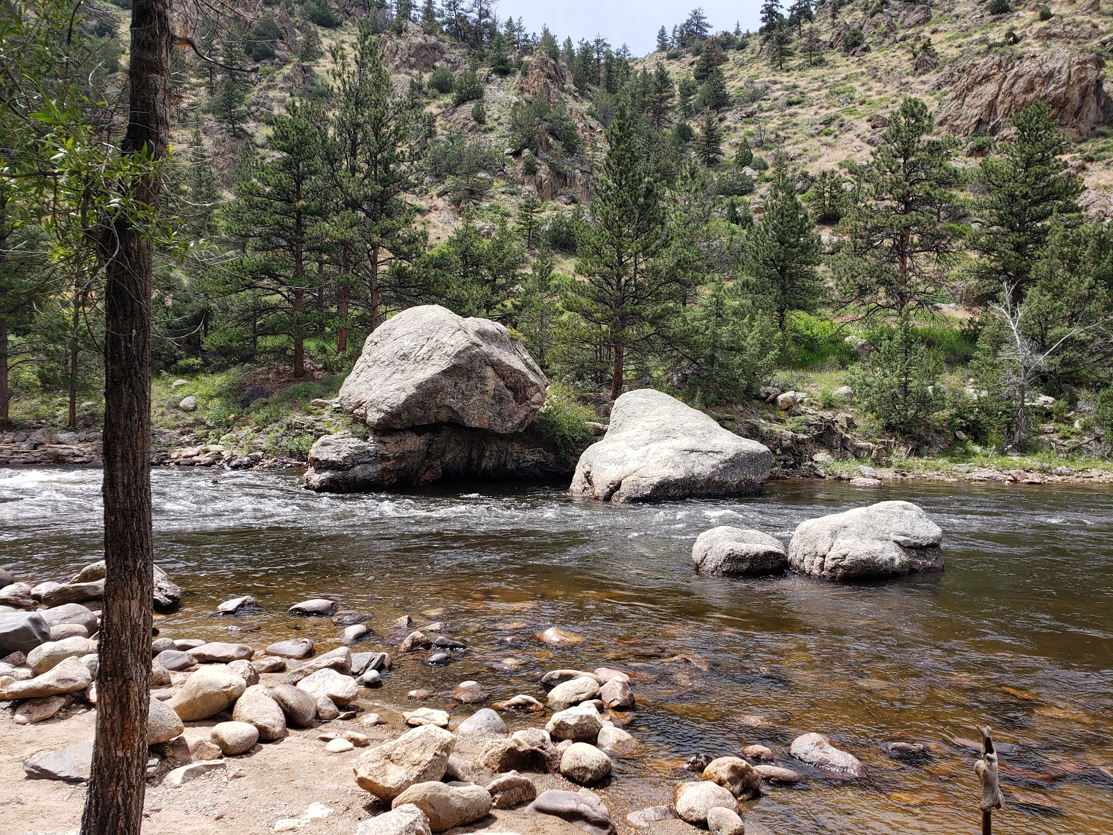 Mountain Park Campground-Roosevelt Nat'l. Forest