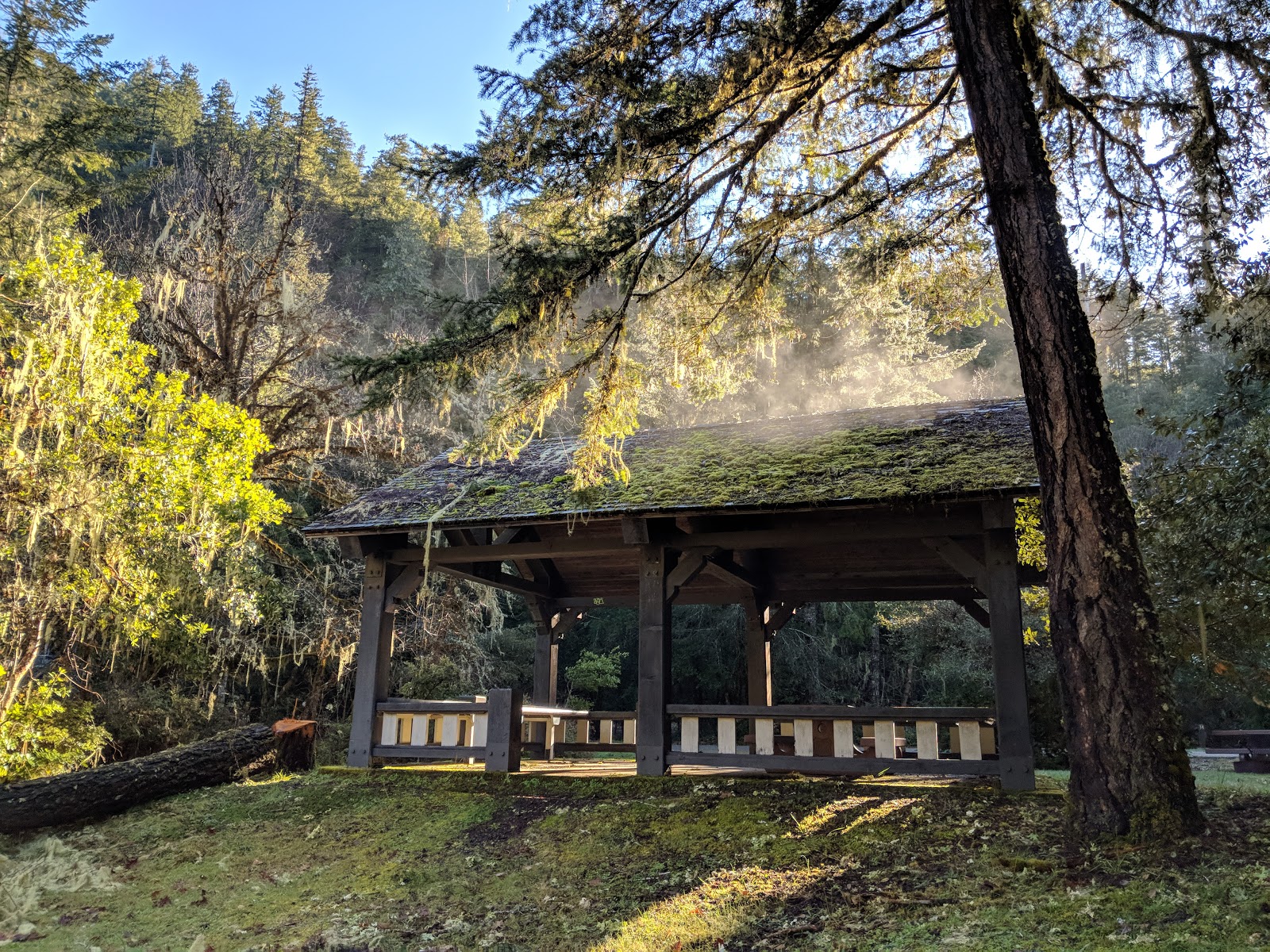 Daphne Grove Campground