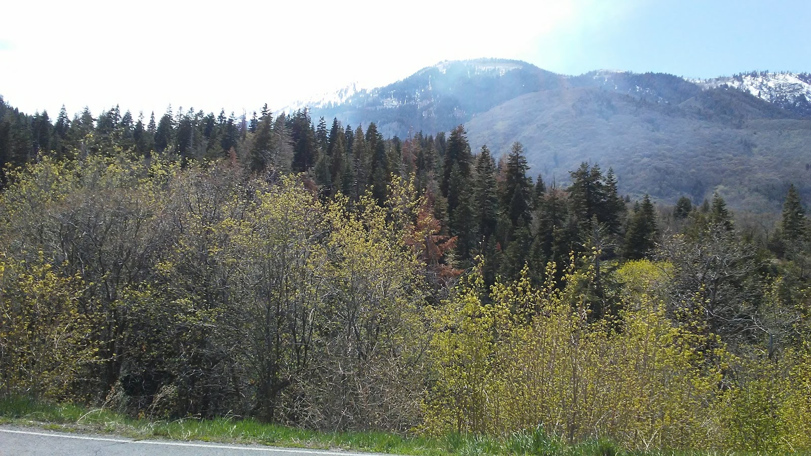 Maple Bench Campground