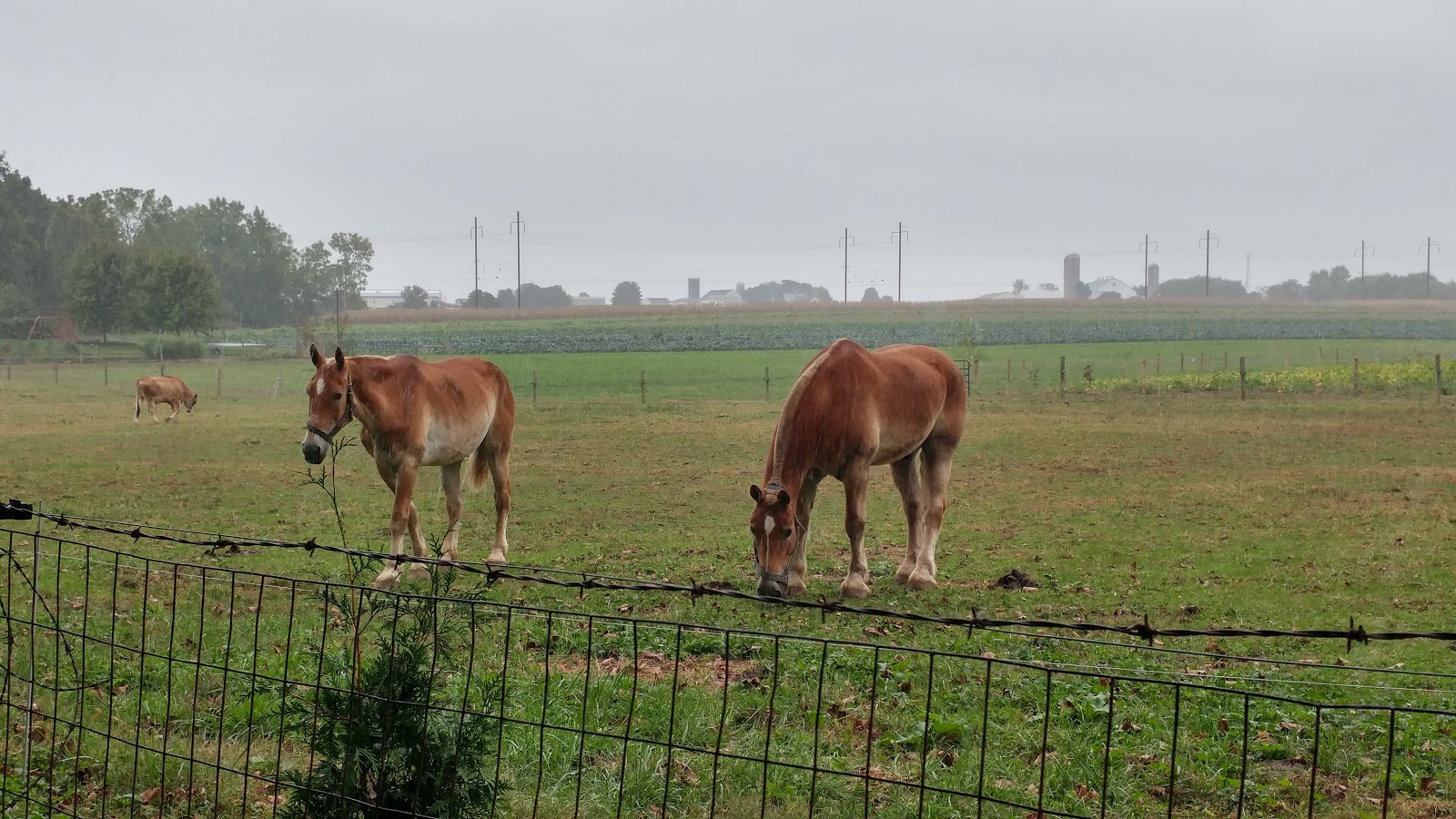 Flory's Cottages & Camping