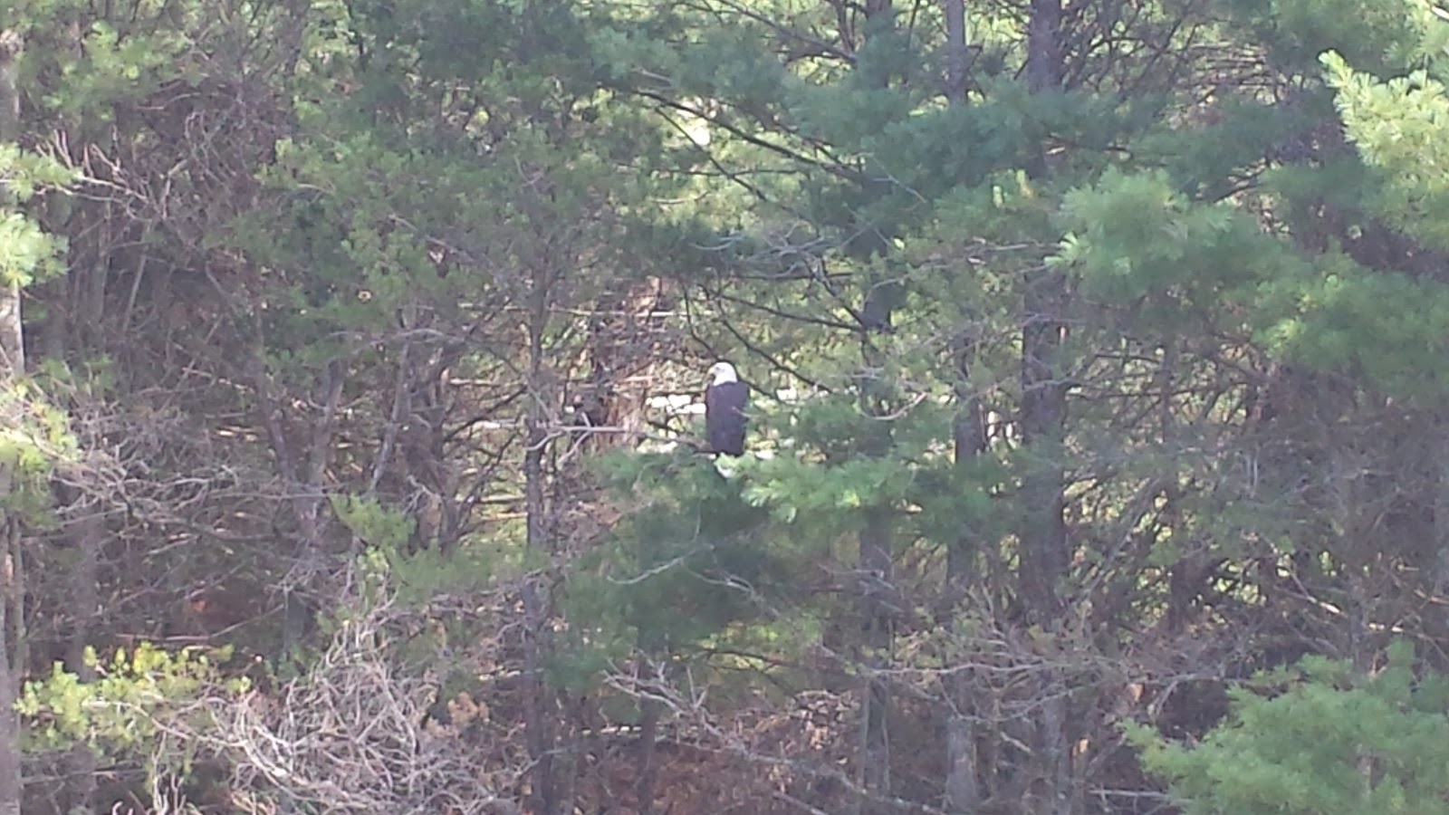 South Branch Campground