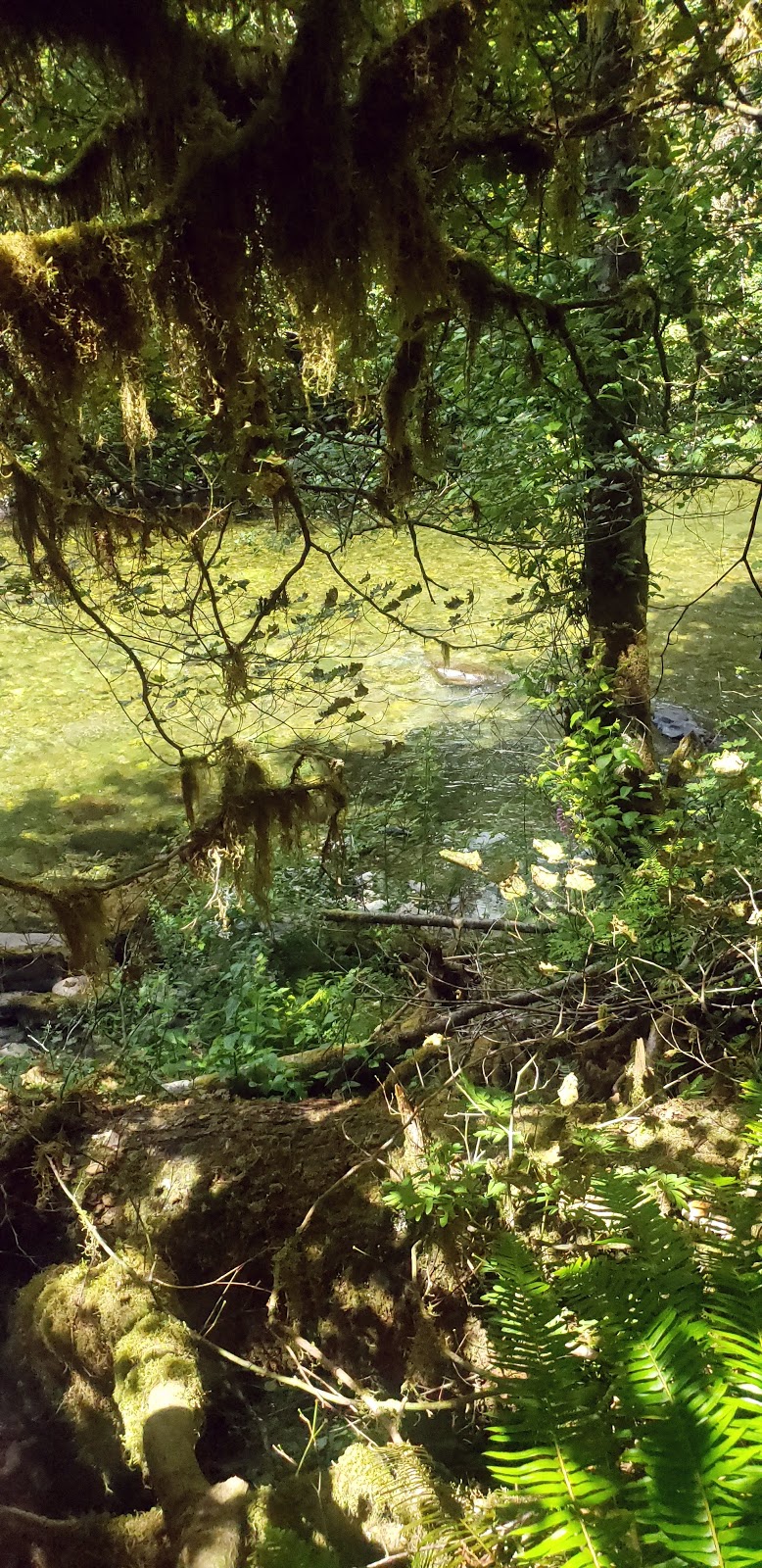 Elkhorn Valley and Canyon Creek Rec Site