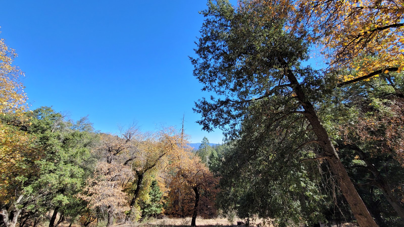 Fry Creek Campground