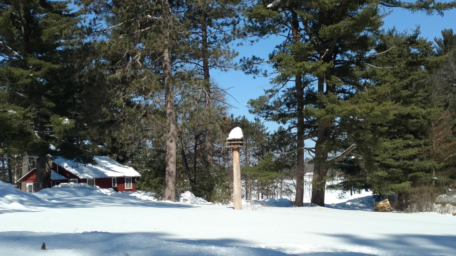 Pine Cone Ranch Resort