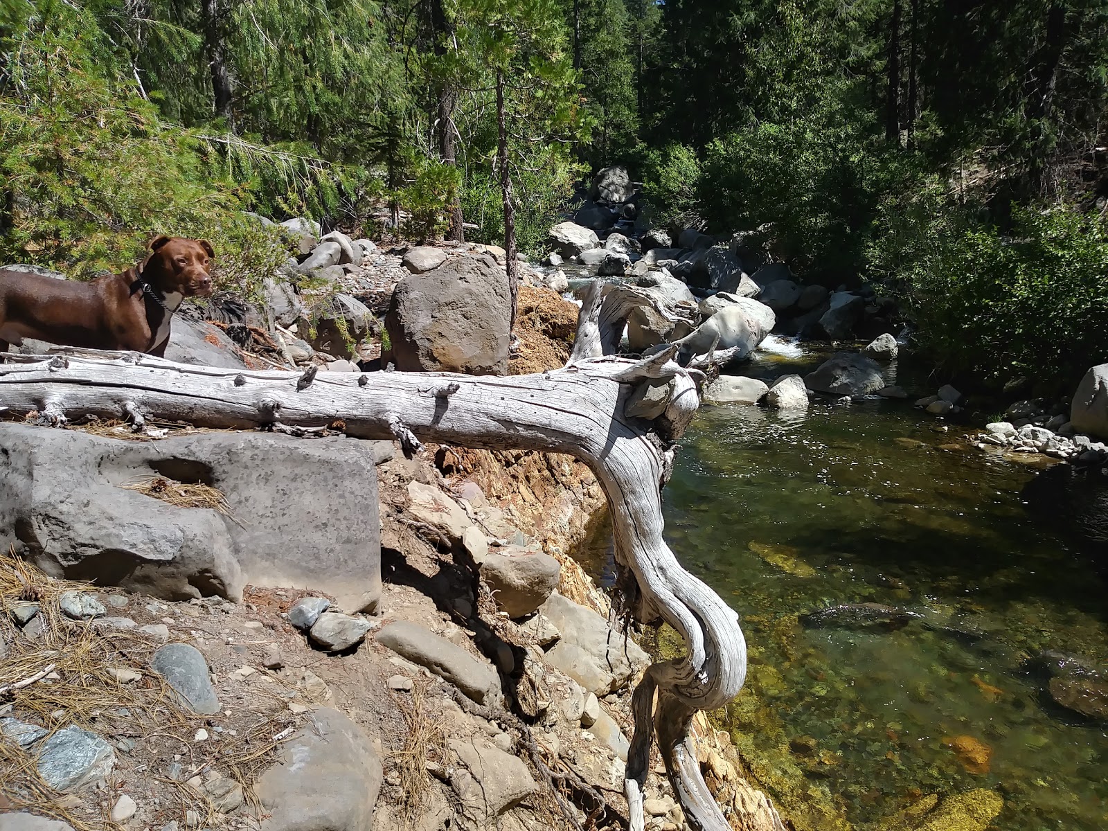 West Branch Campground