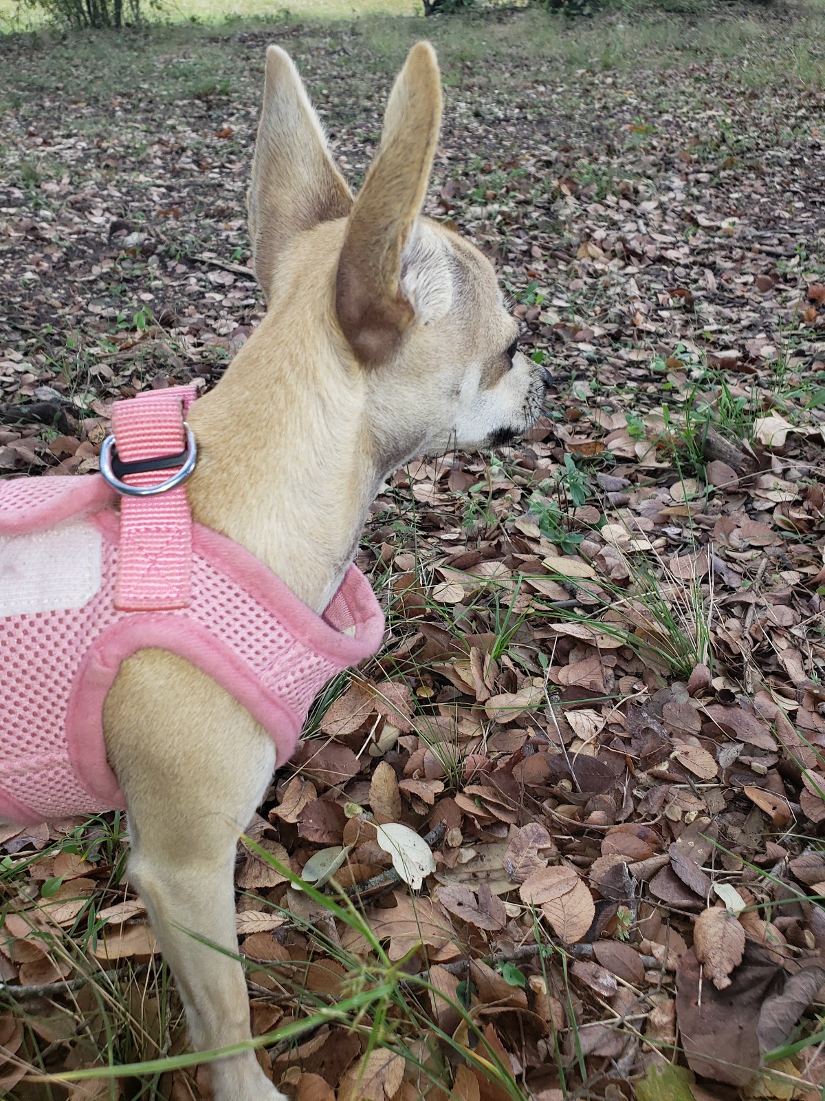 Texas Station RV Park