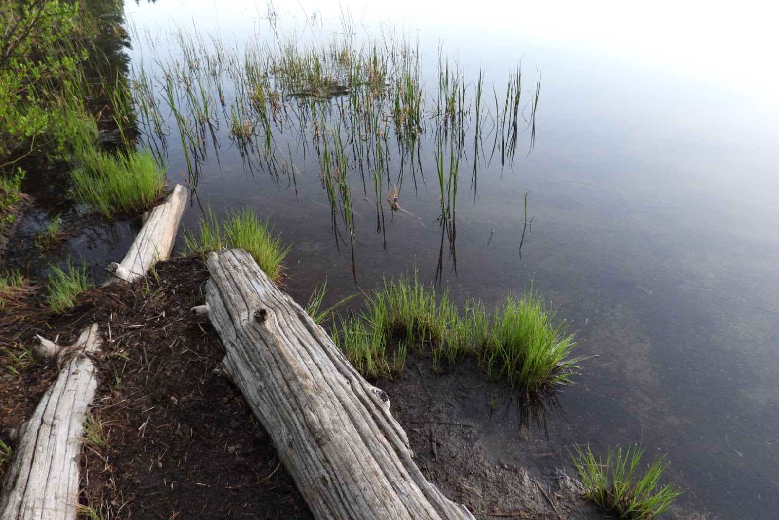 Olallie Lake Campground