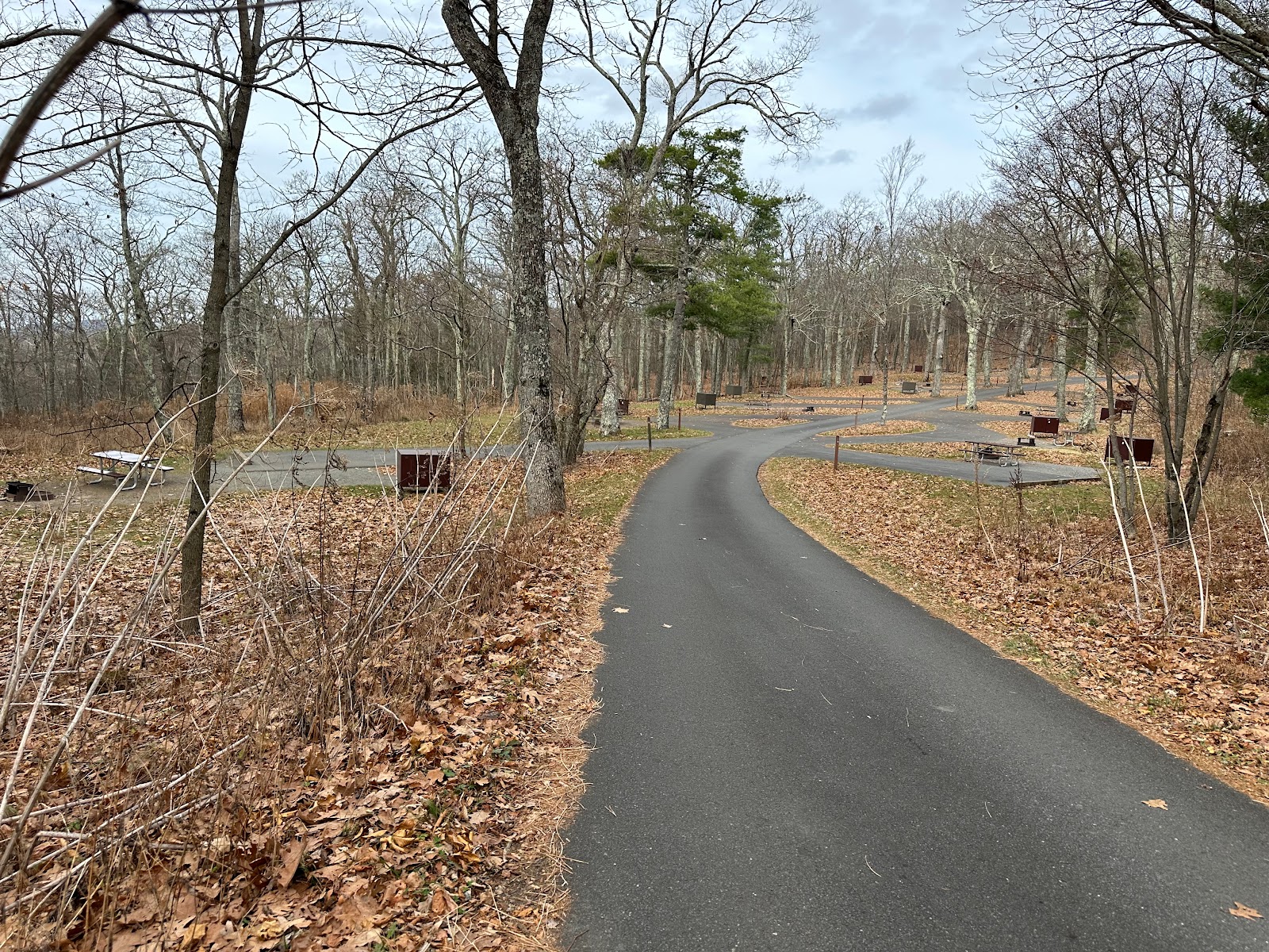 Lewis Mountain Campground - Shenandoah National Park