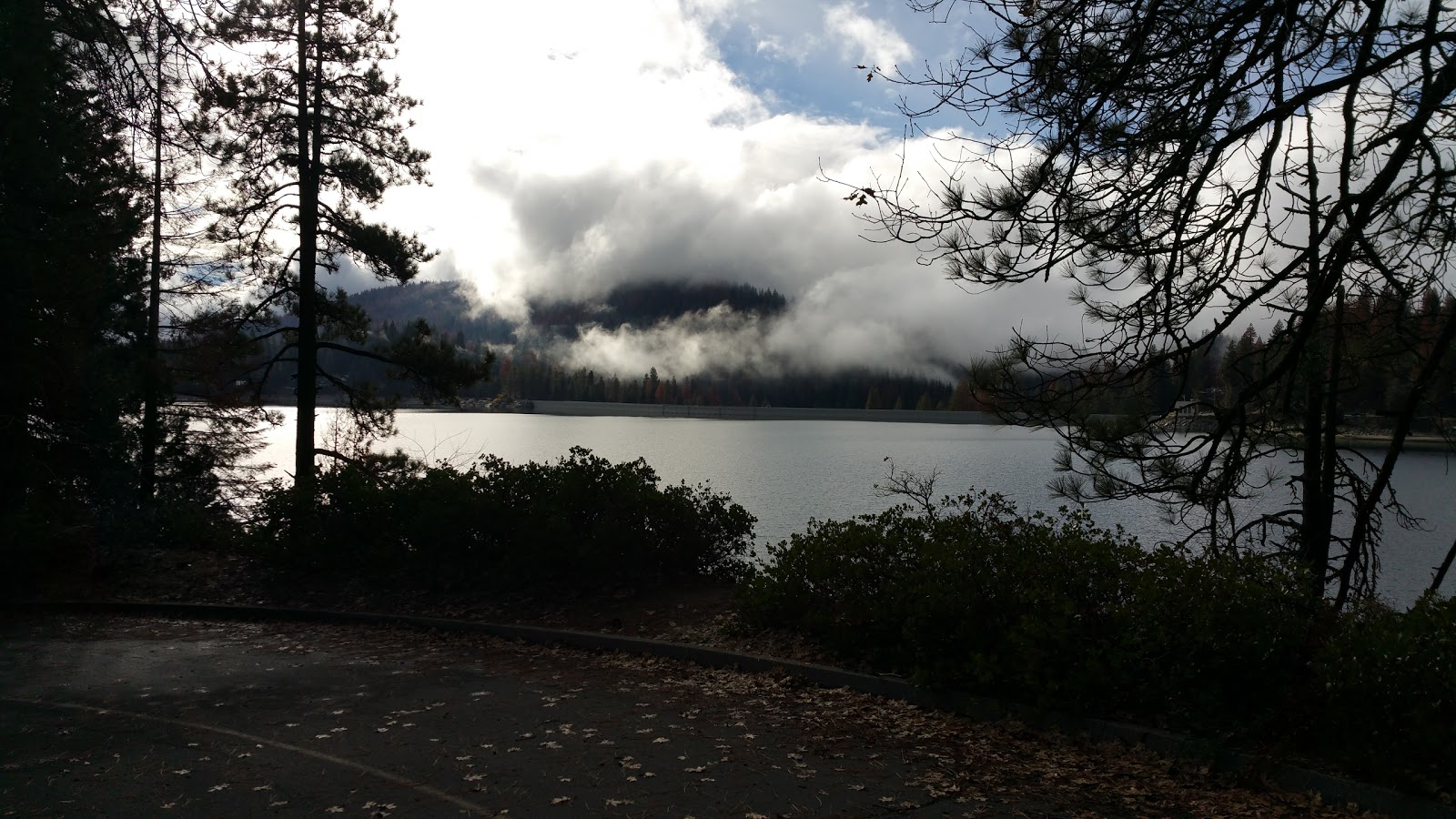 Ponderosa Trailer Park