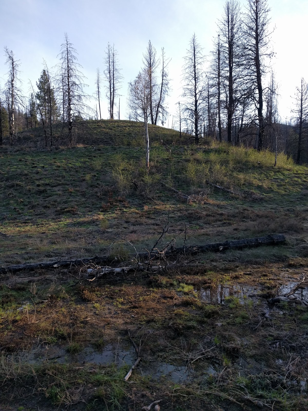 Willow Creek Campground