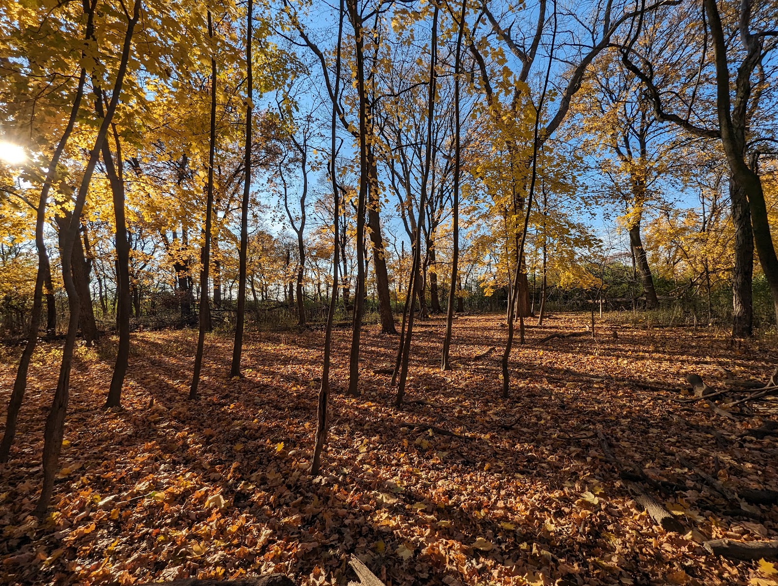 North Park Village Nature Center