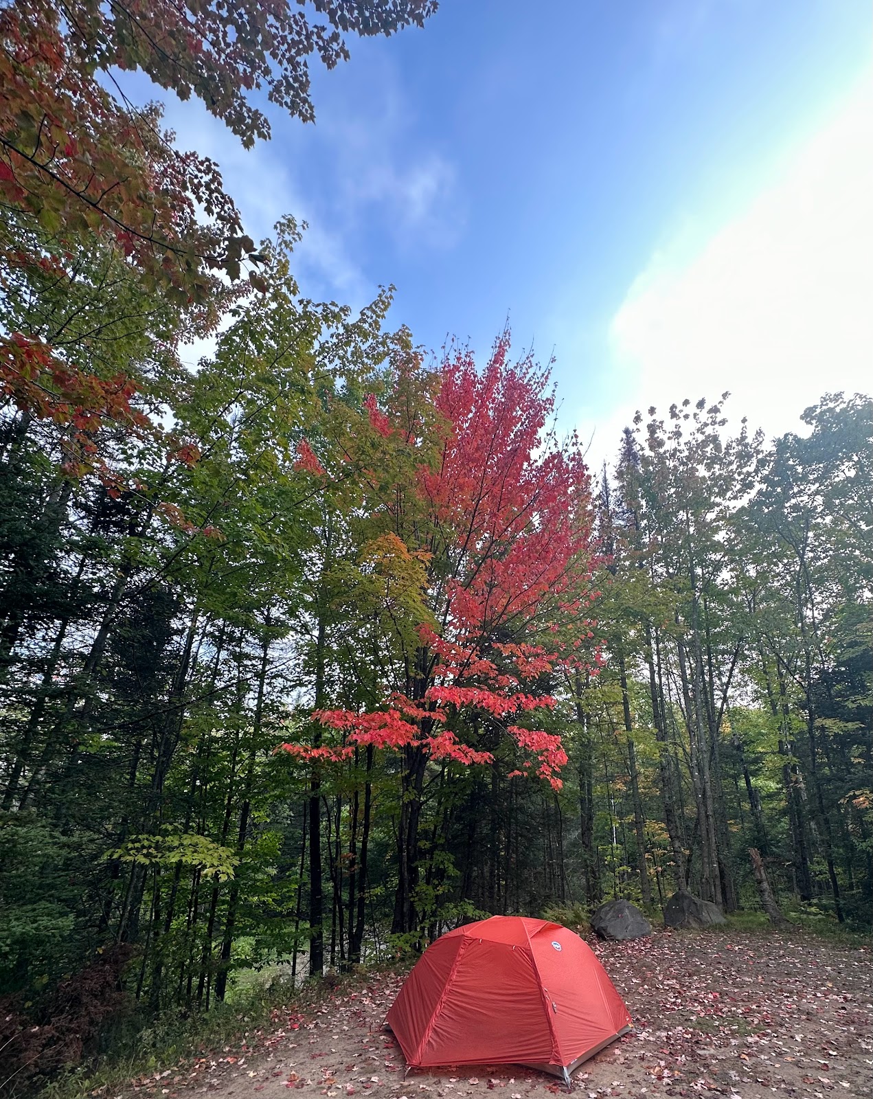 King Lake Campground
