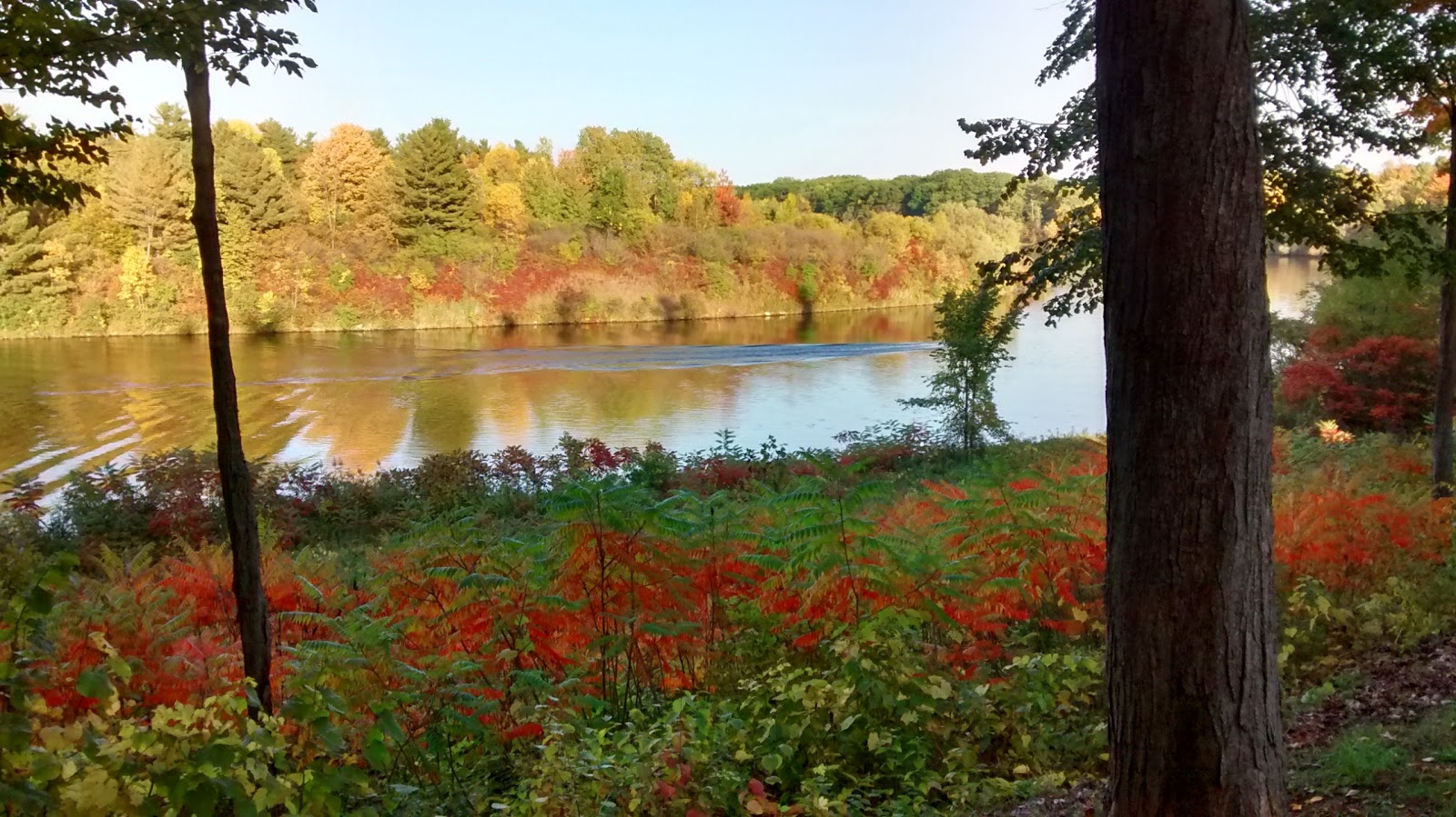 Massena Intl Kampground