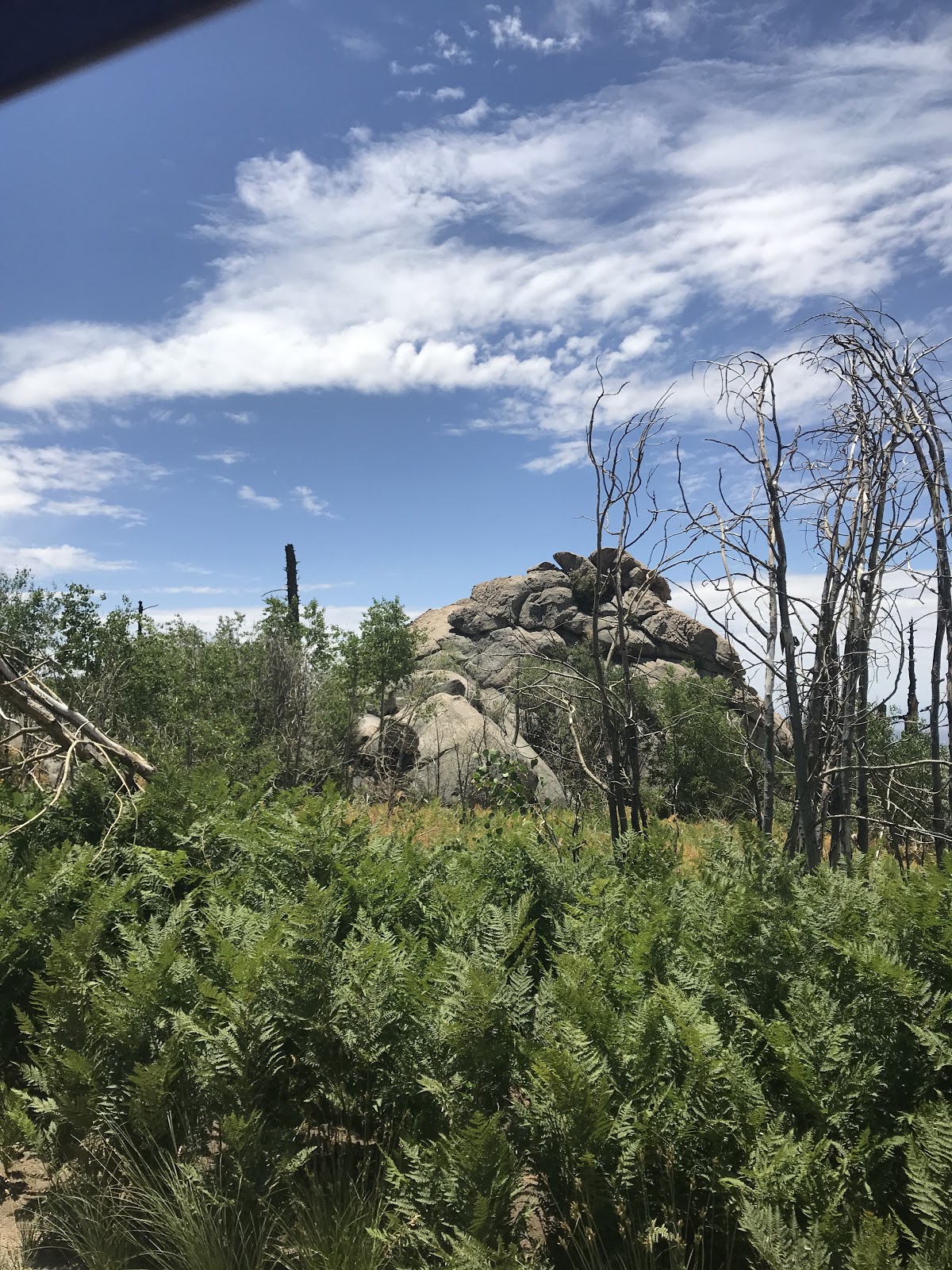 Columbine Corrals Campground
