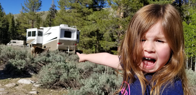 Robinson Creek Campground