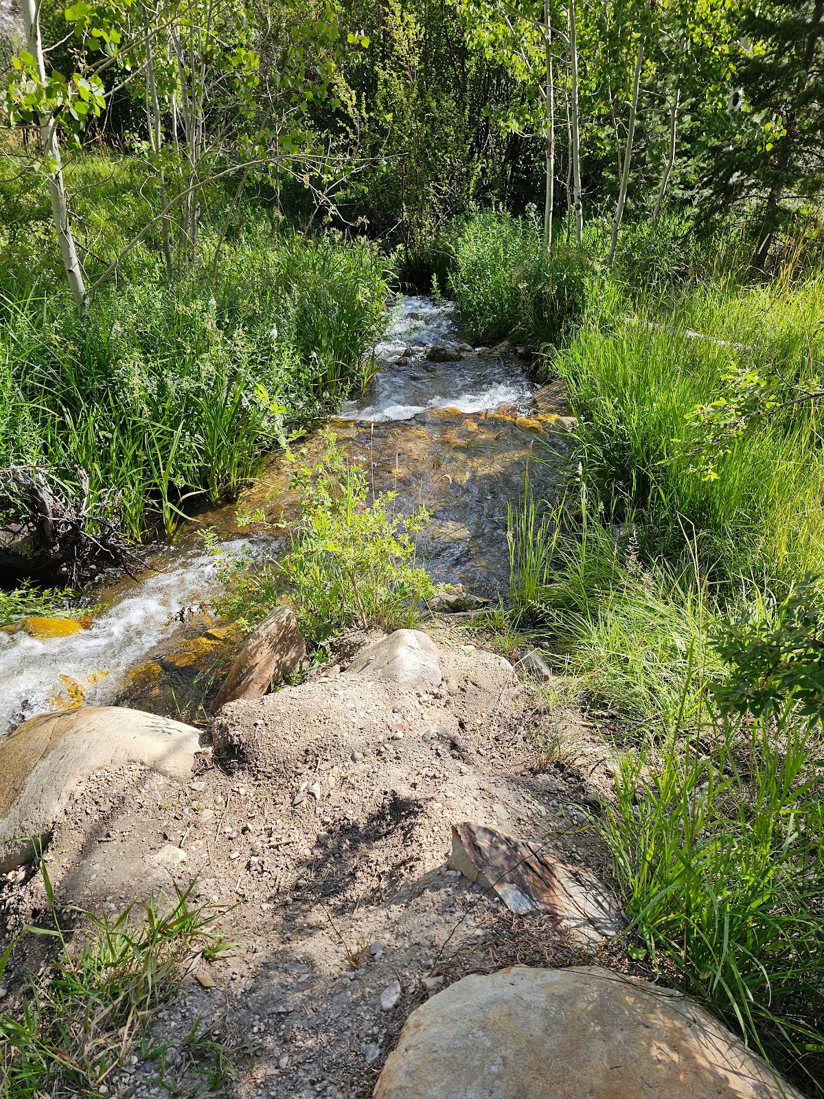 Upper Lehman Creek - Great Basin National Park