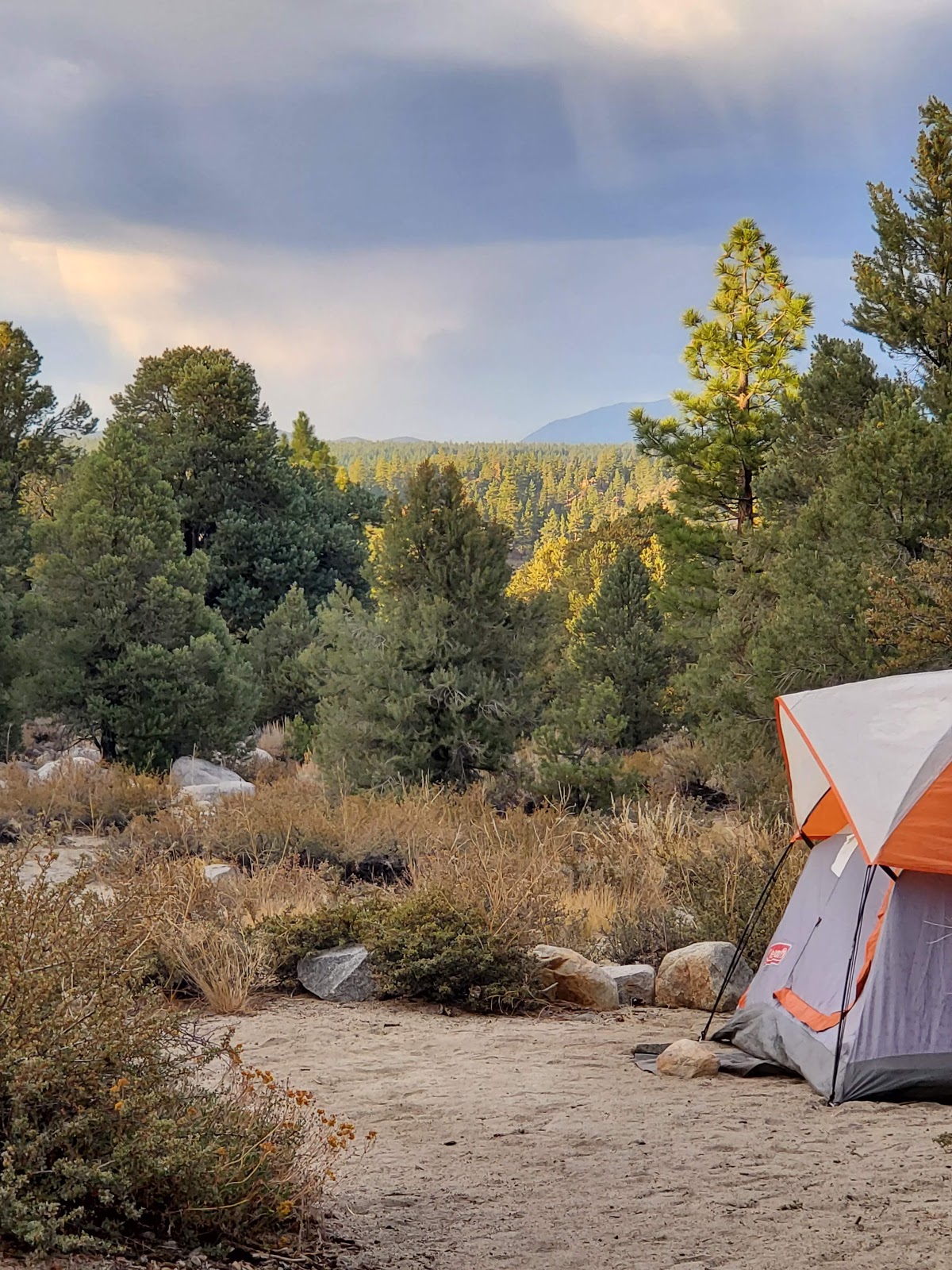 French Camp Campground