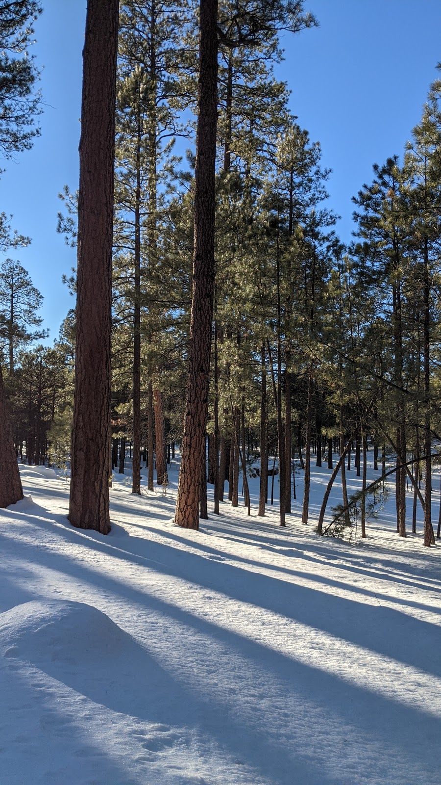 Clints Well Campground