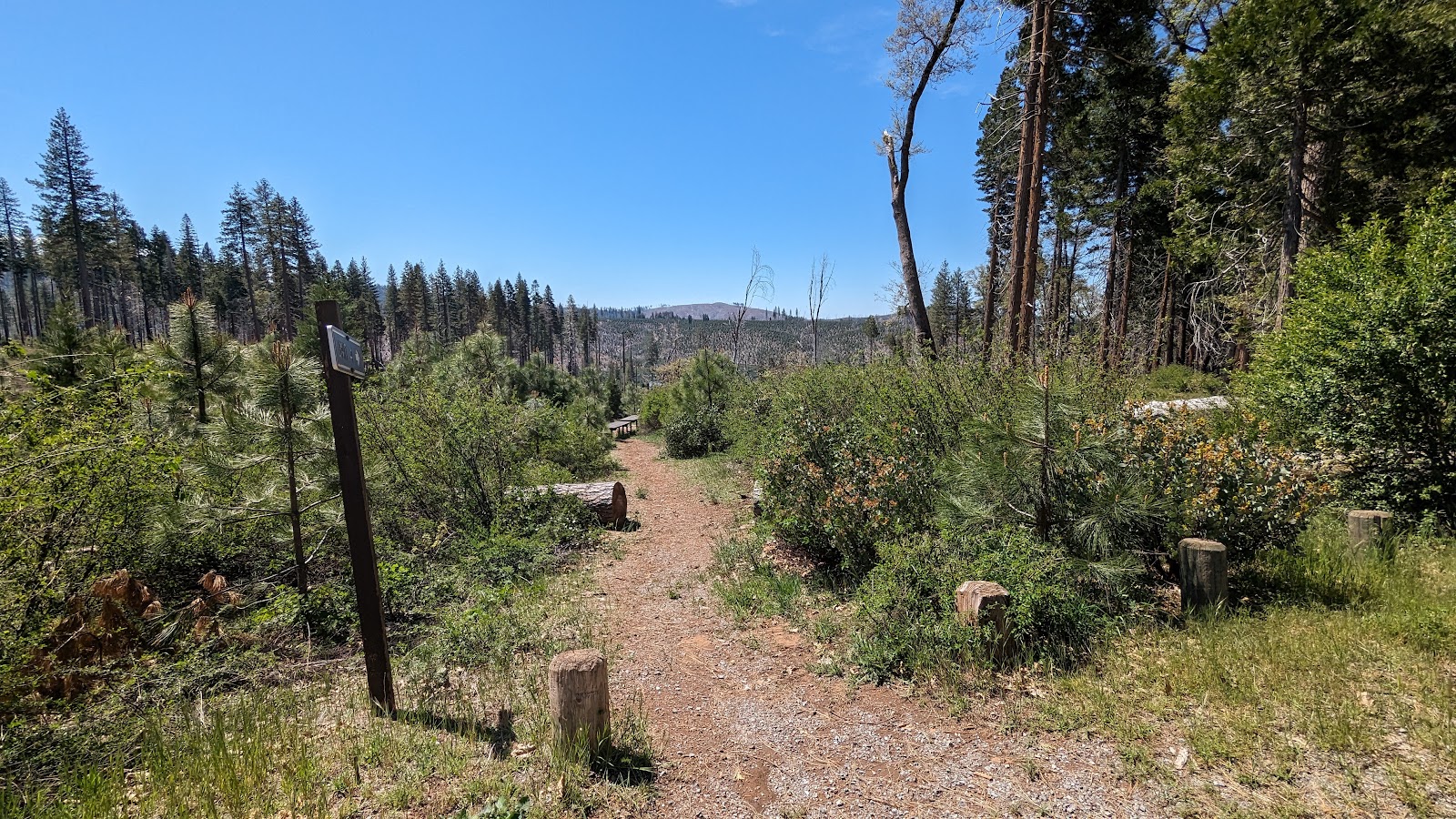 Black Oak Group Campground