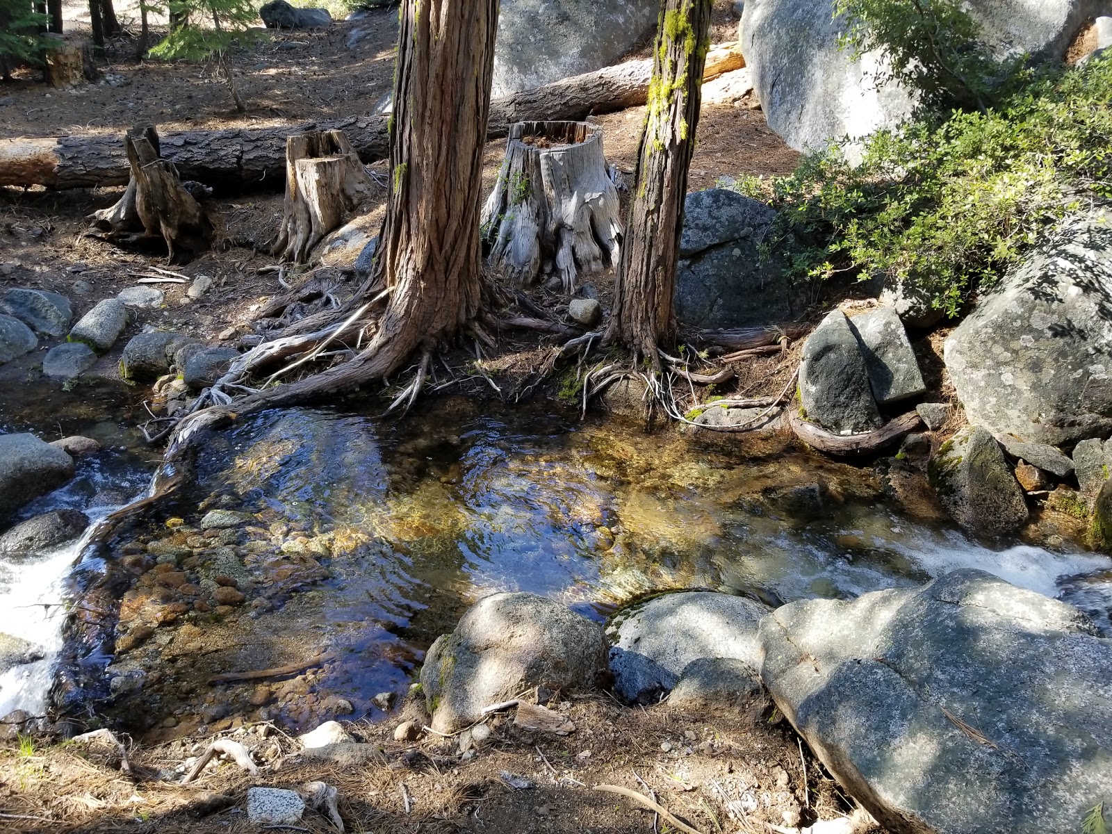 Pardoe Point Campground