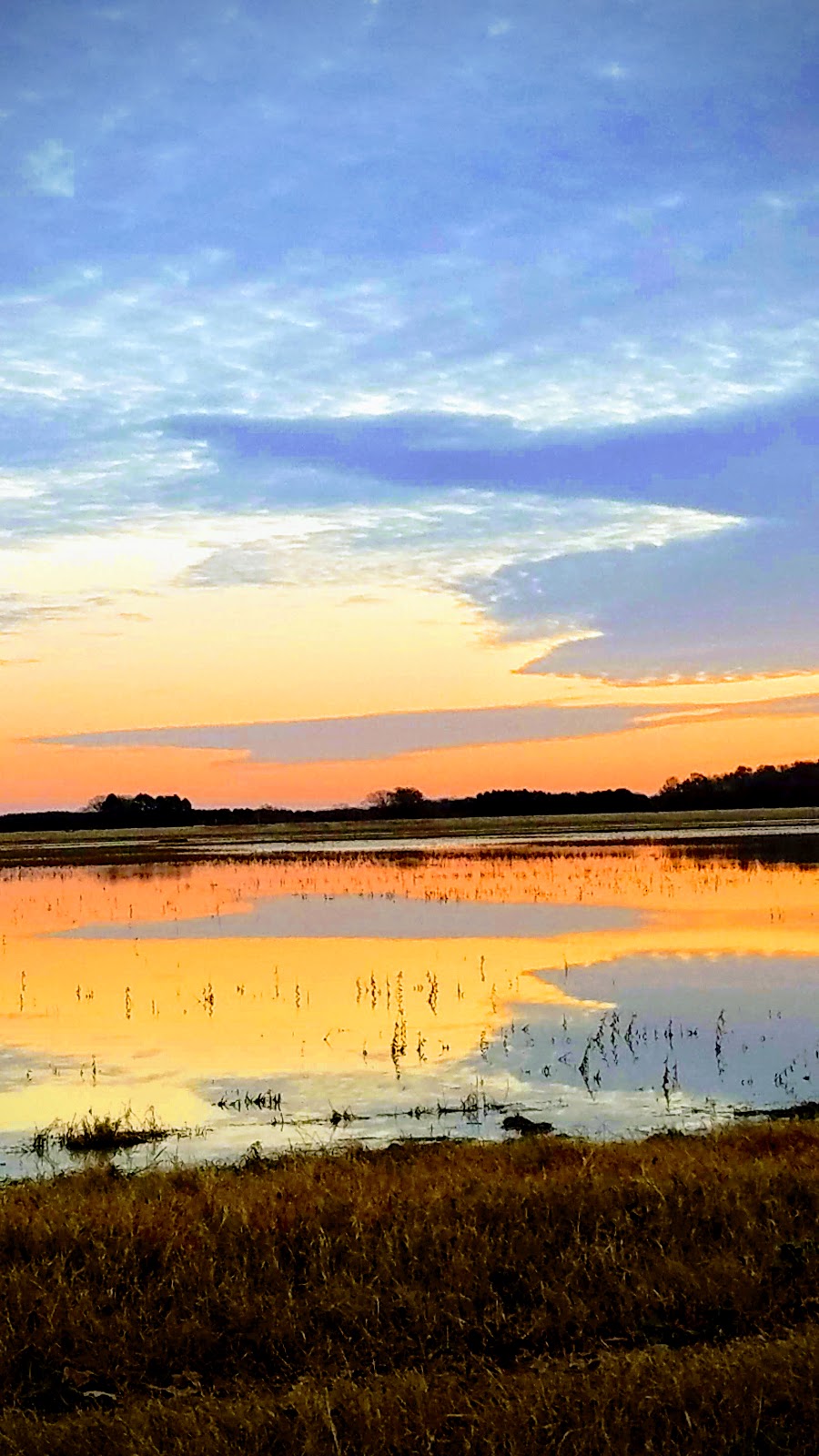 Bald Knob National Wildlife Refuge