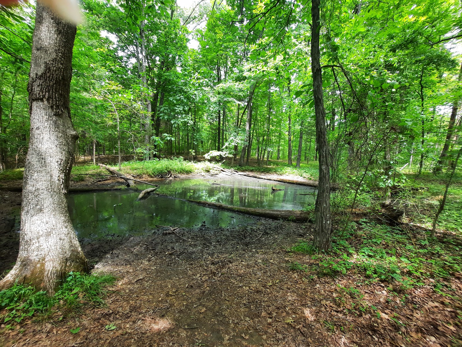 Henry Horton State Park