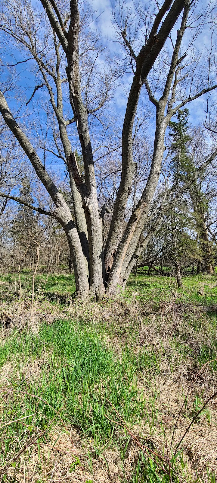 Green Valley Campground