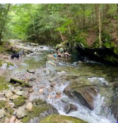 Brewster River Campground
