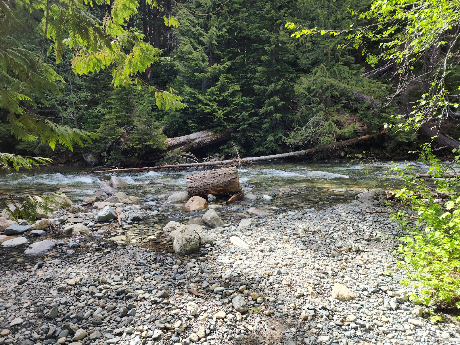 Denny Creek Campground