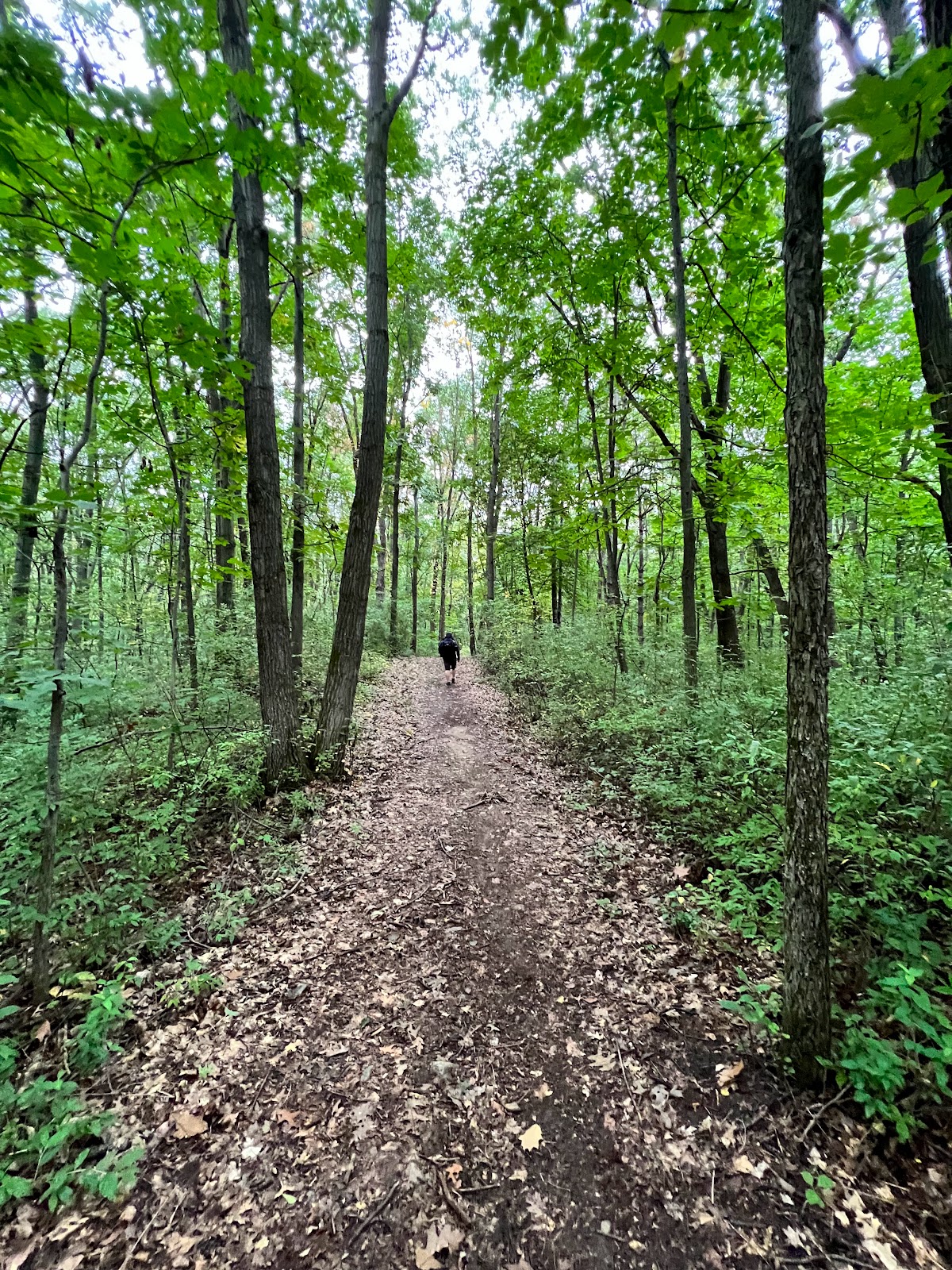 Ortonville State Recreation Area