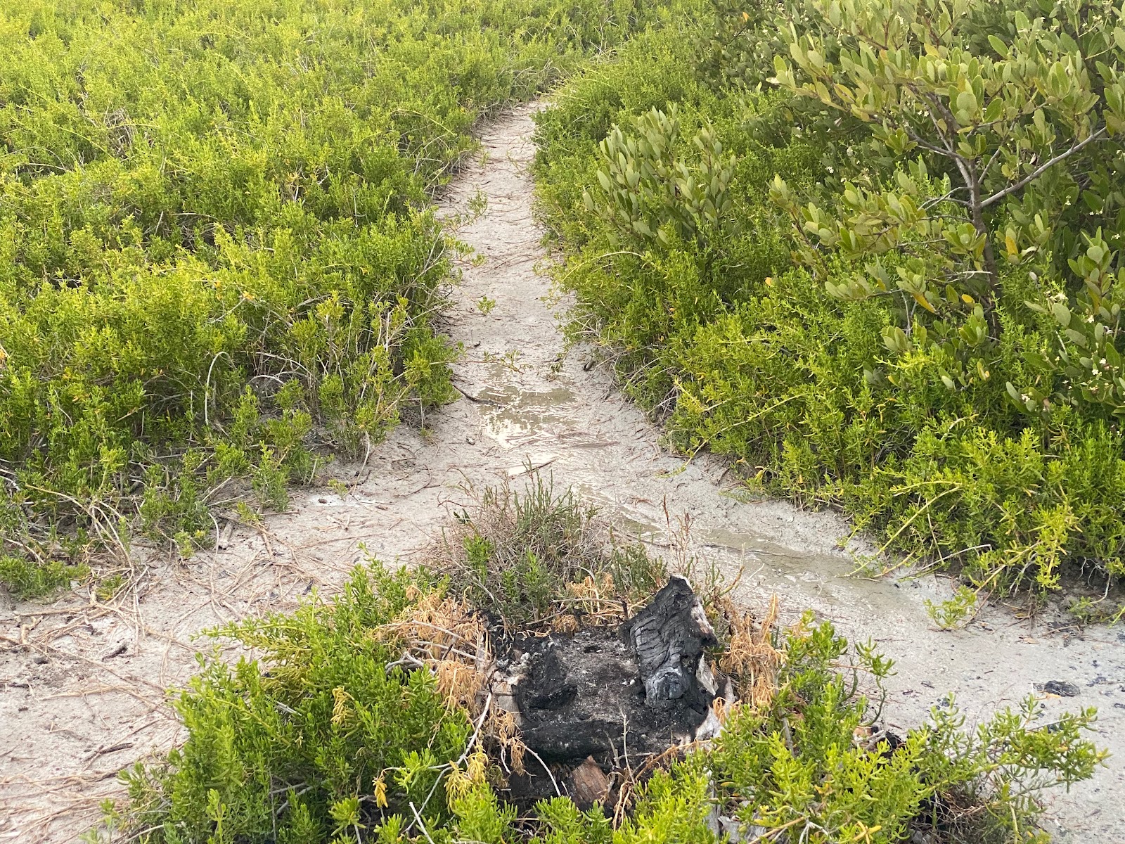Backcountry Little Rabbit Key - Everglades National Park
