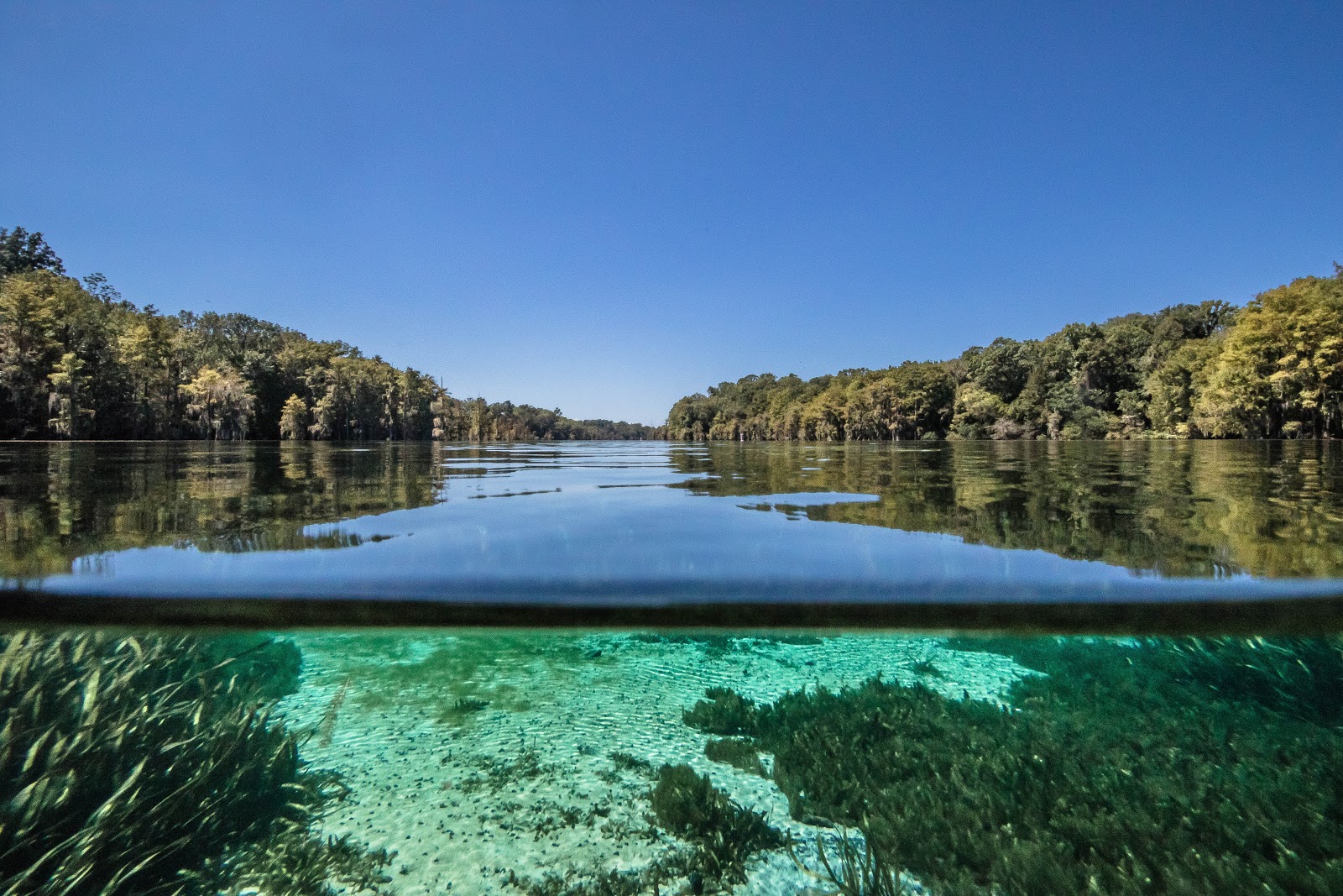 Florida Caverns RV Resort