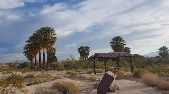 Overton Wildlife Management Area