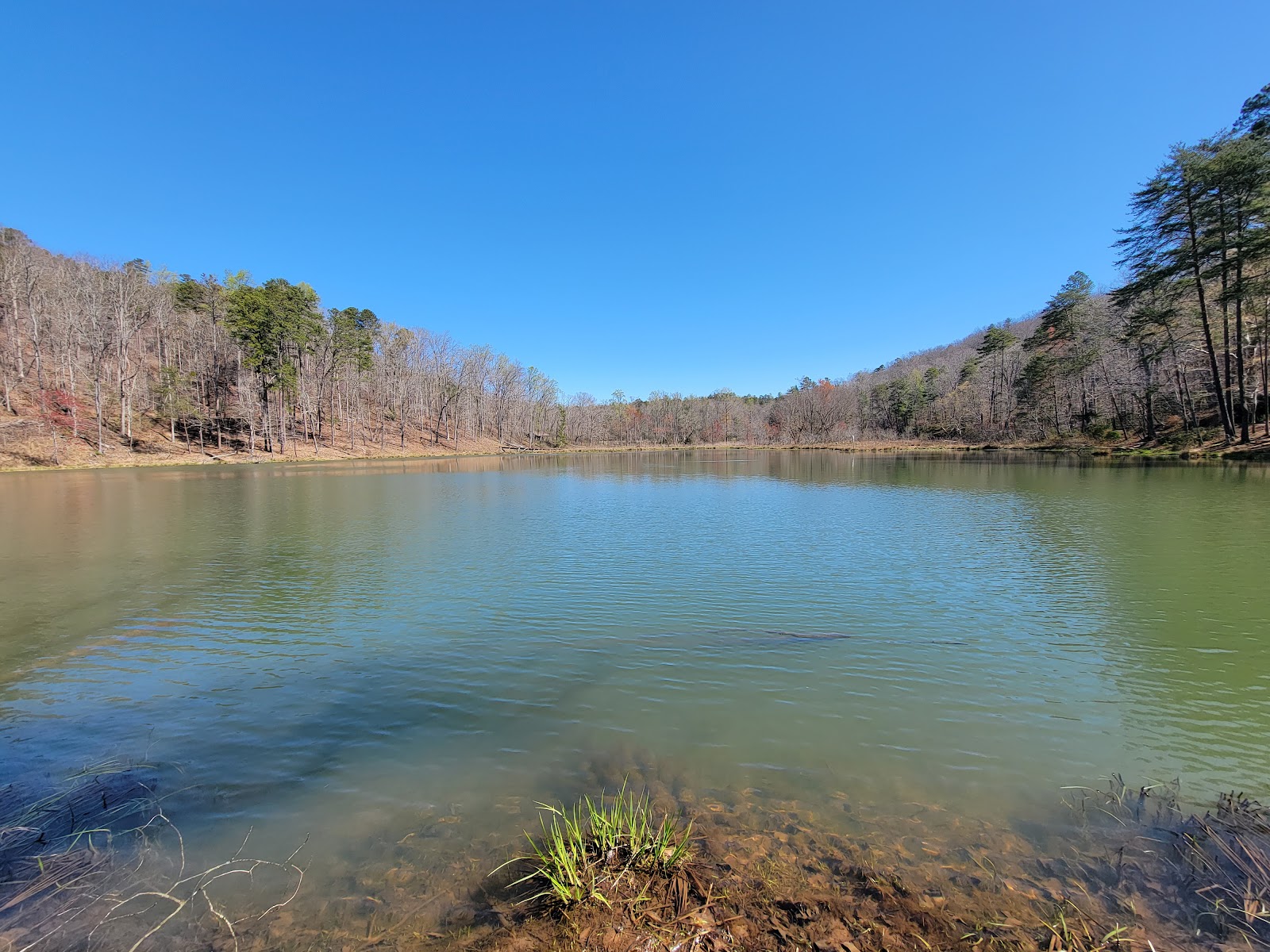 Nancytown Group Campground