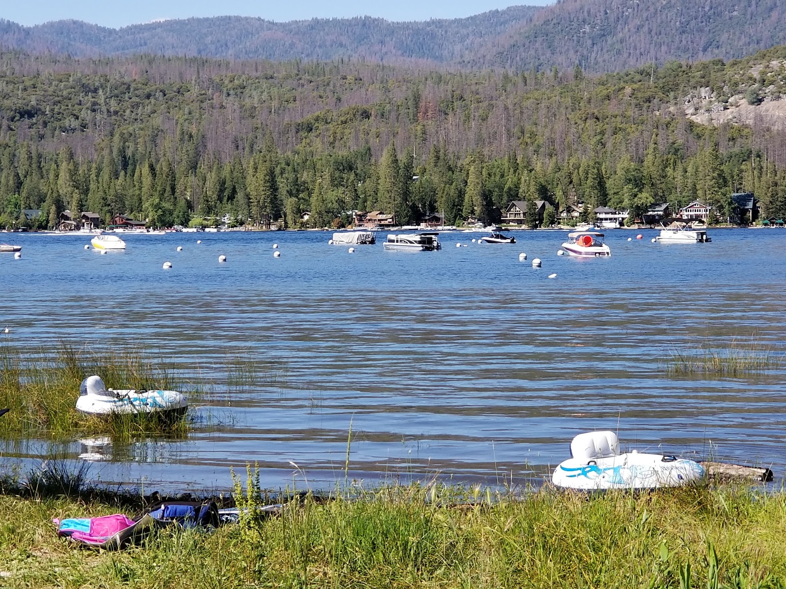 Forks Campground (Sierra)